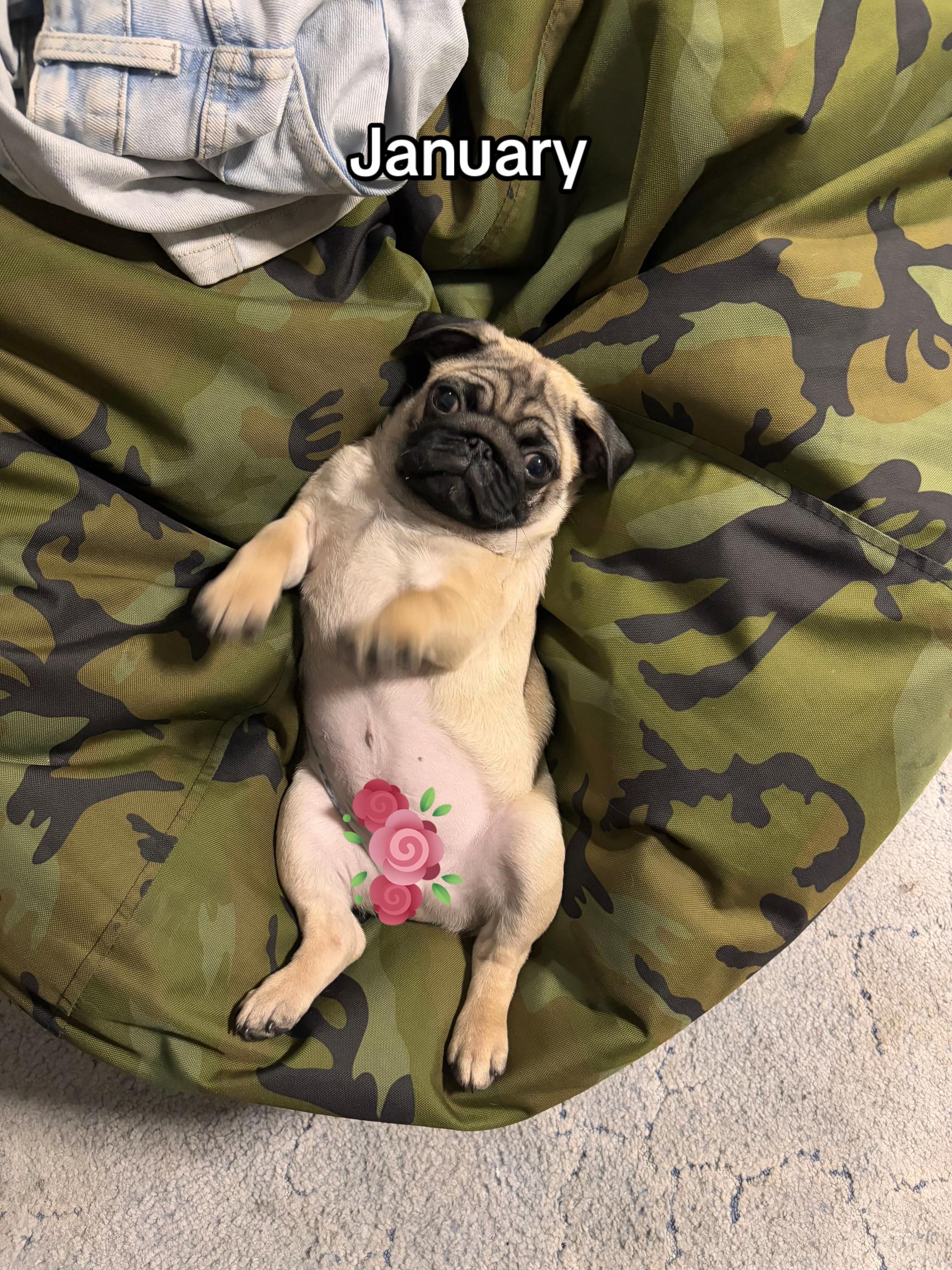 @тгк: Амбассадор Чукотки