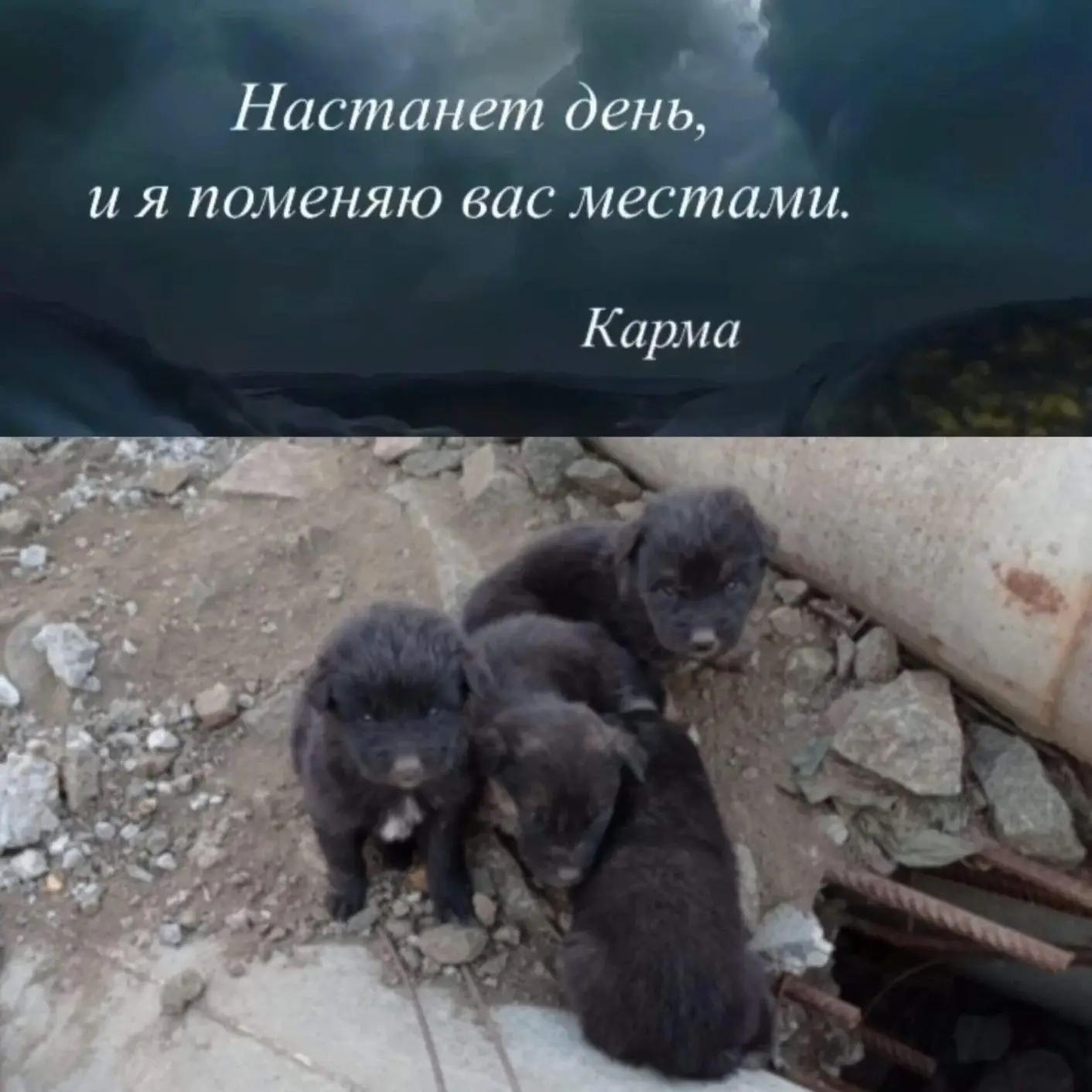 @Денис Манис !