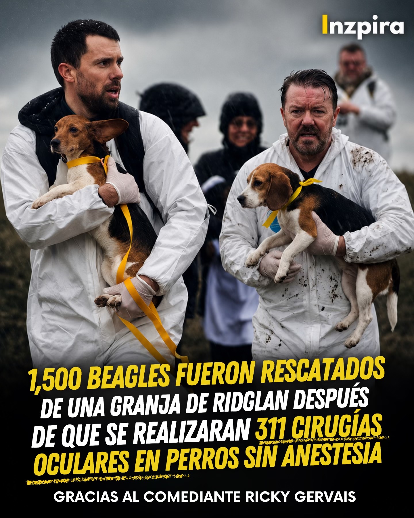 @inzpira.oficial