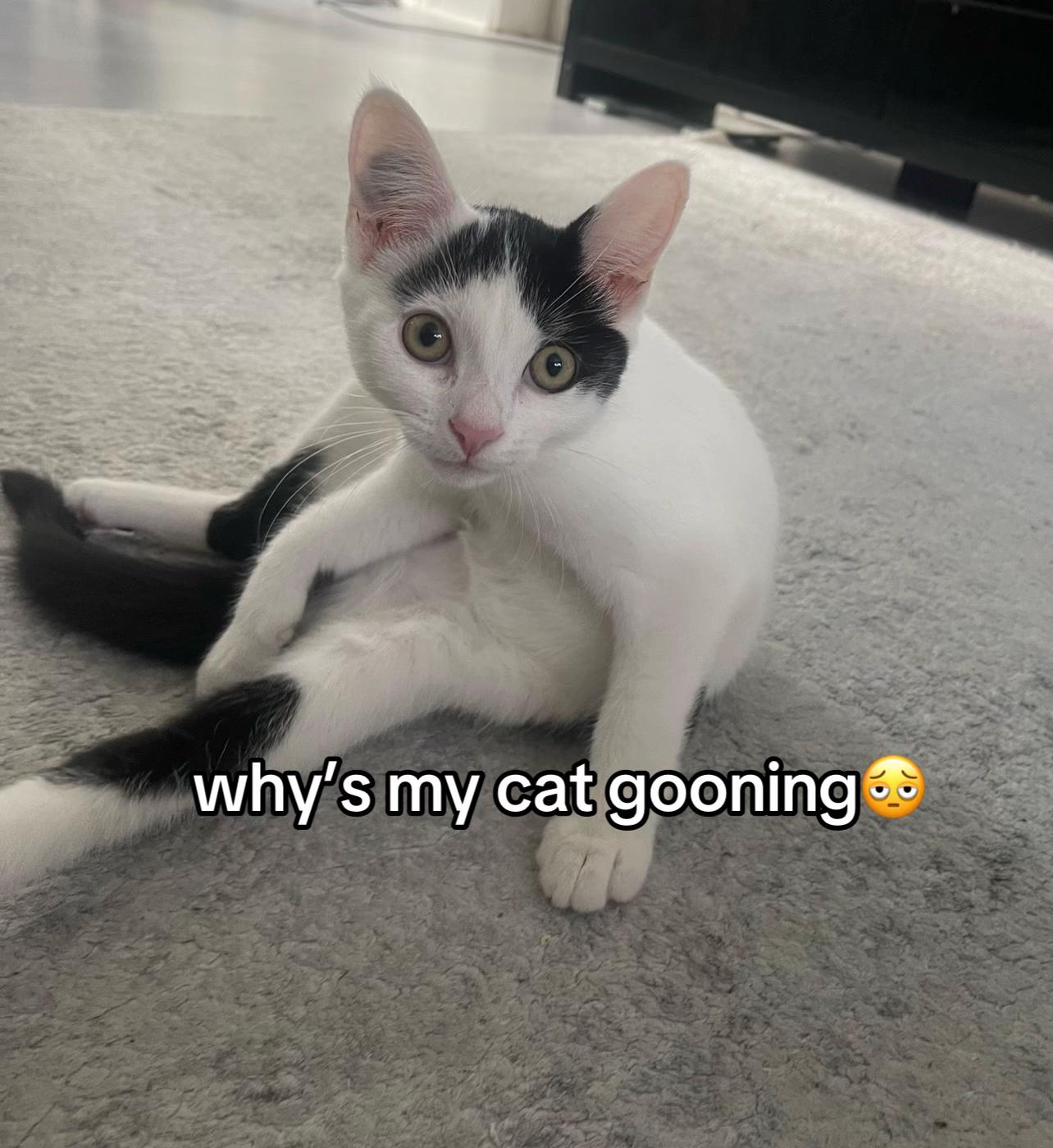 @kingerandragathacatroleplaying