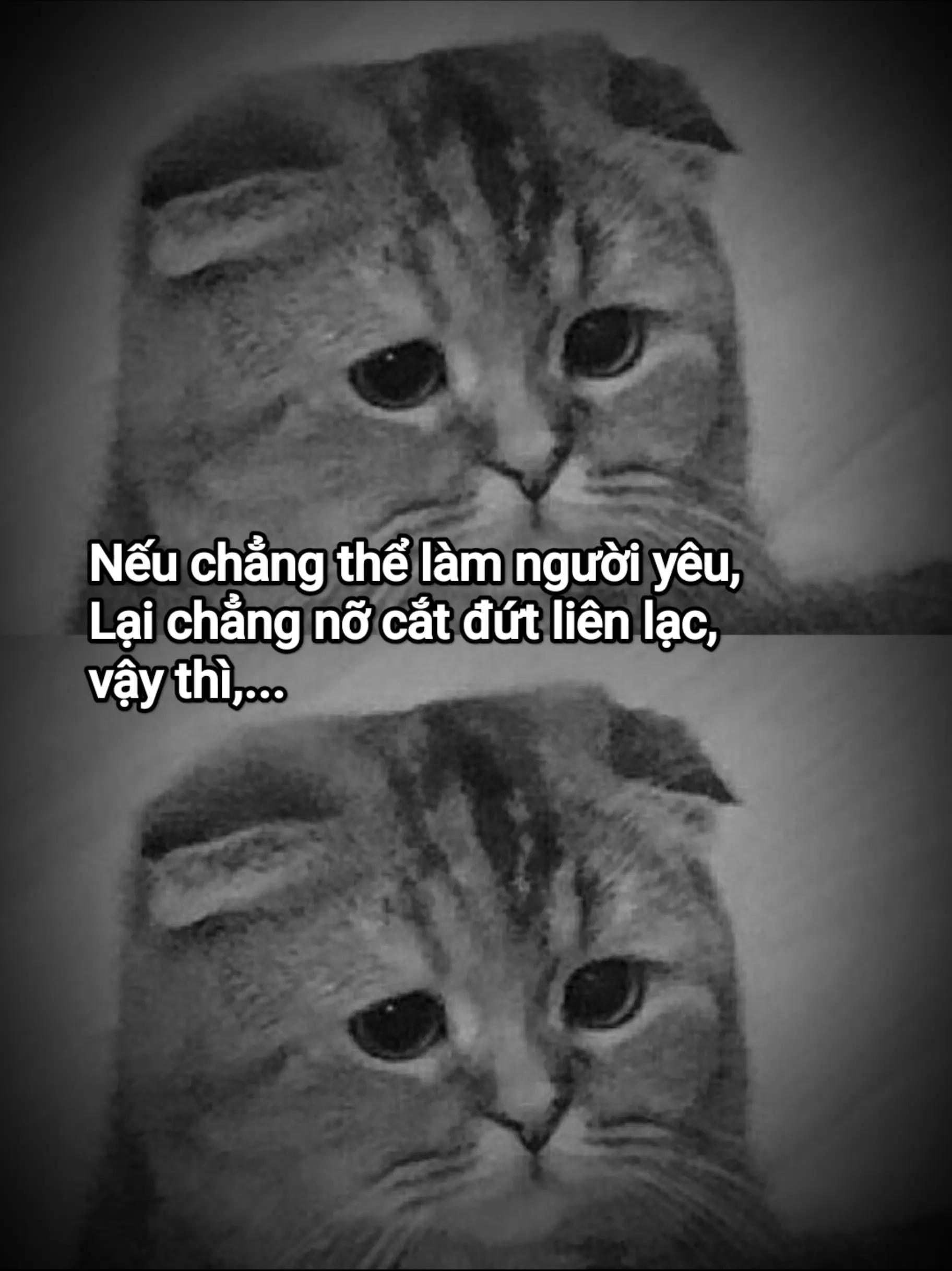@long nguyễn😊