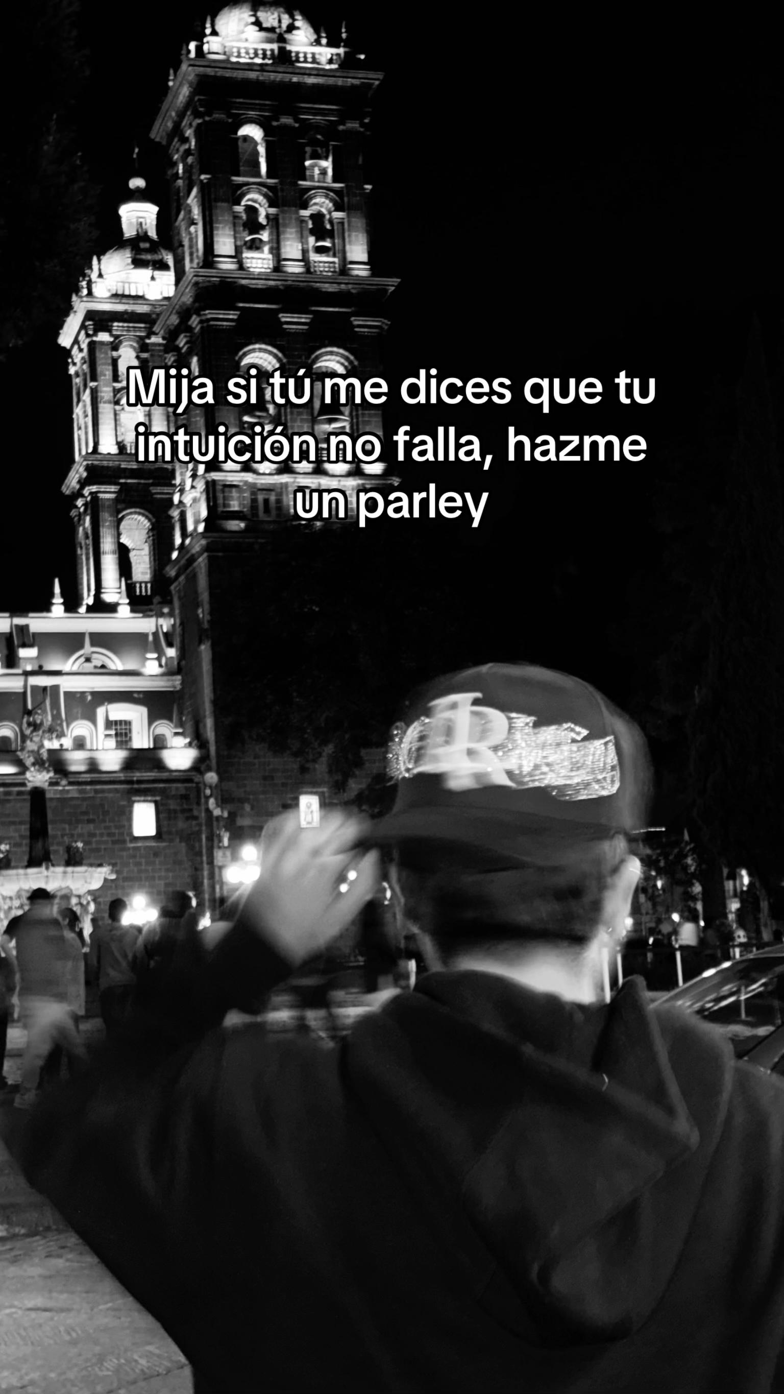 @Ceesar🕷️