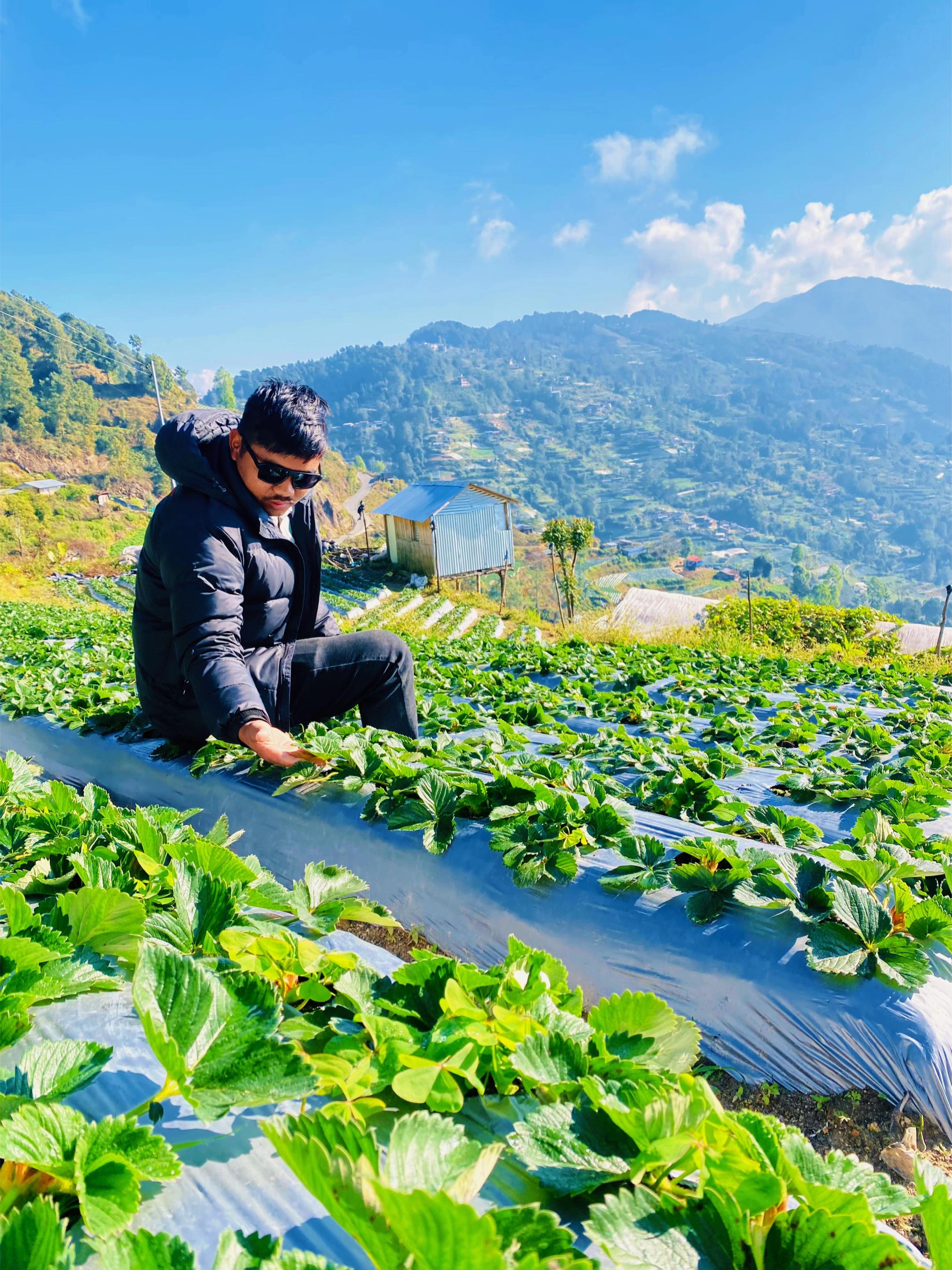 @kakani strawberry 🇳🇵🇳🇵