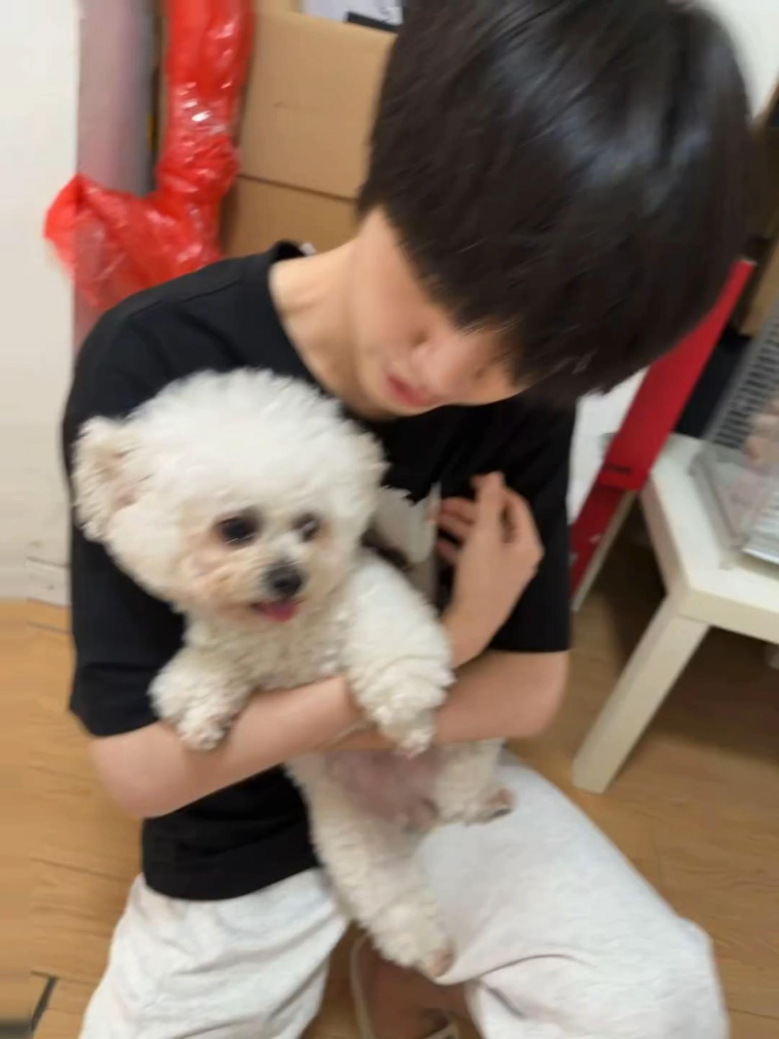 @twotao2