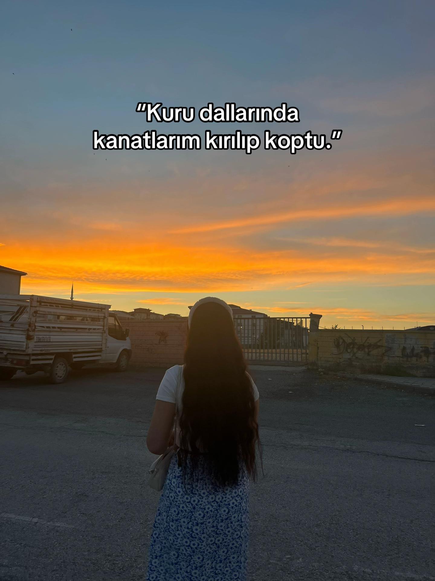 @meeliikenurk