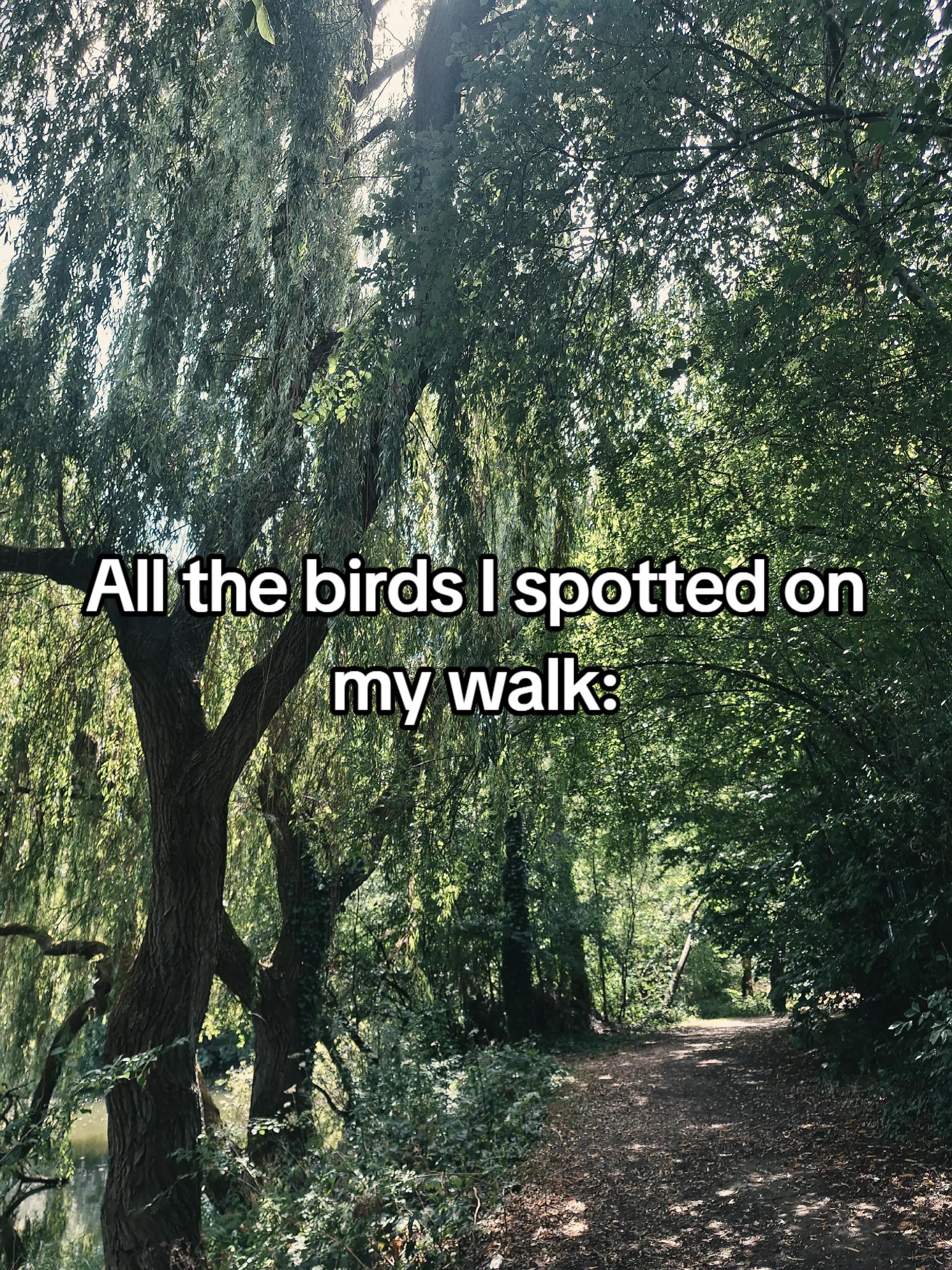 @Abbie ✨️🔮⛓️