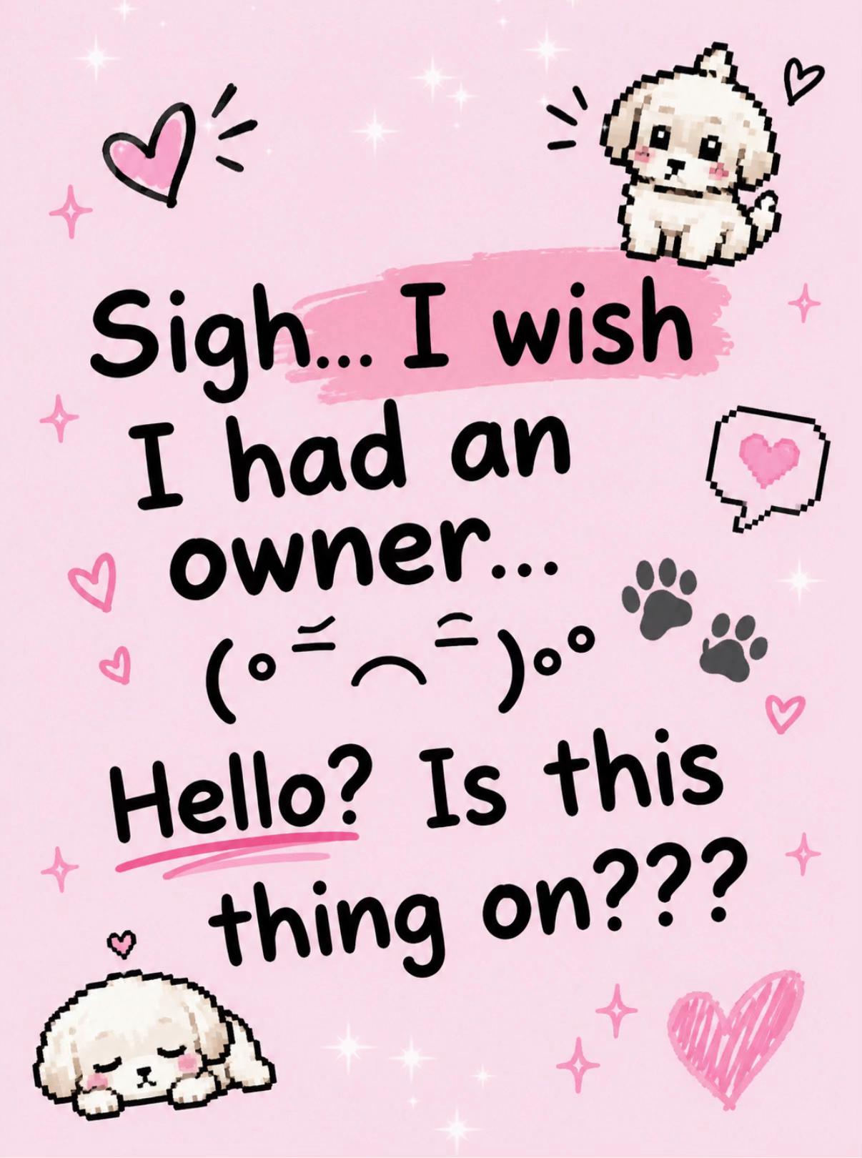 @୨୧bunnii ☾° + ୨୧+