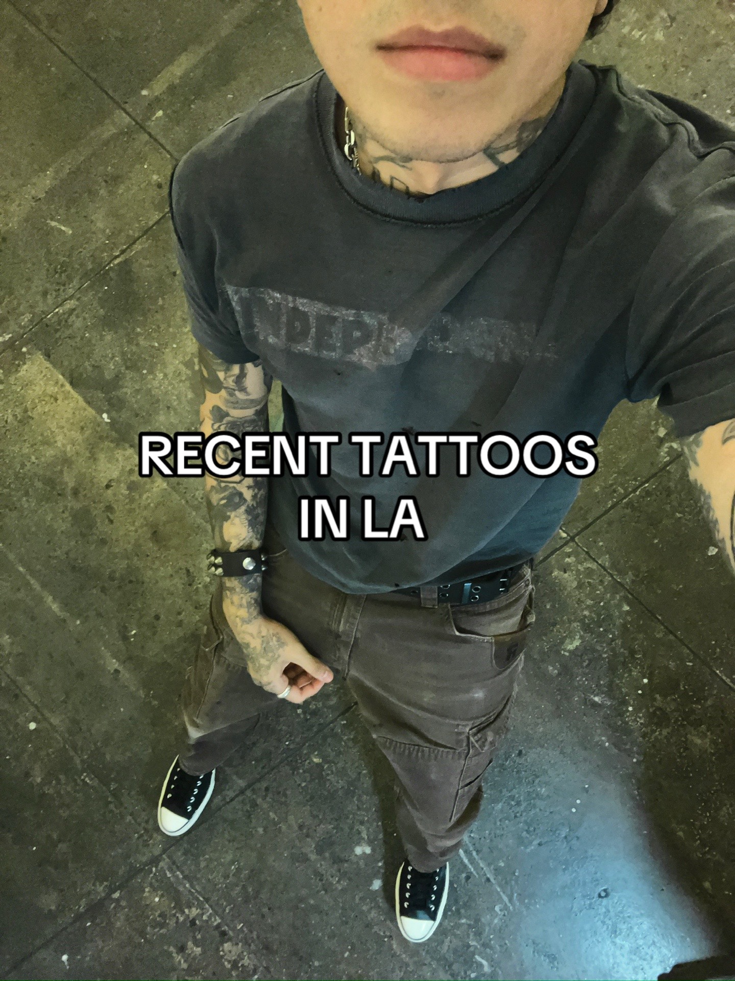 @ant