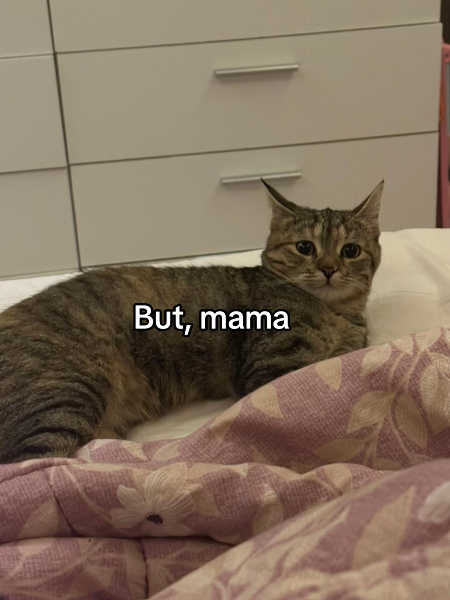 @Merna Ashraf