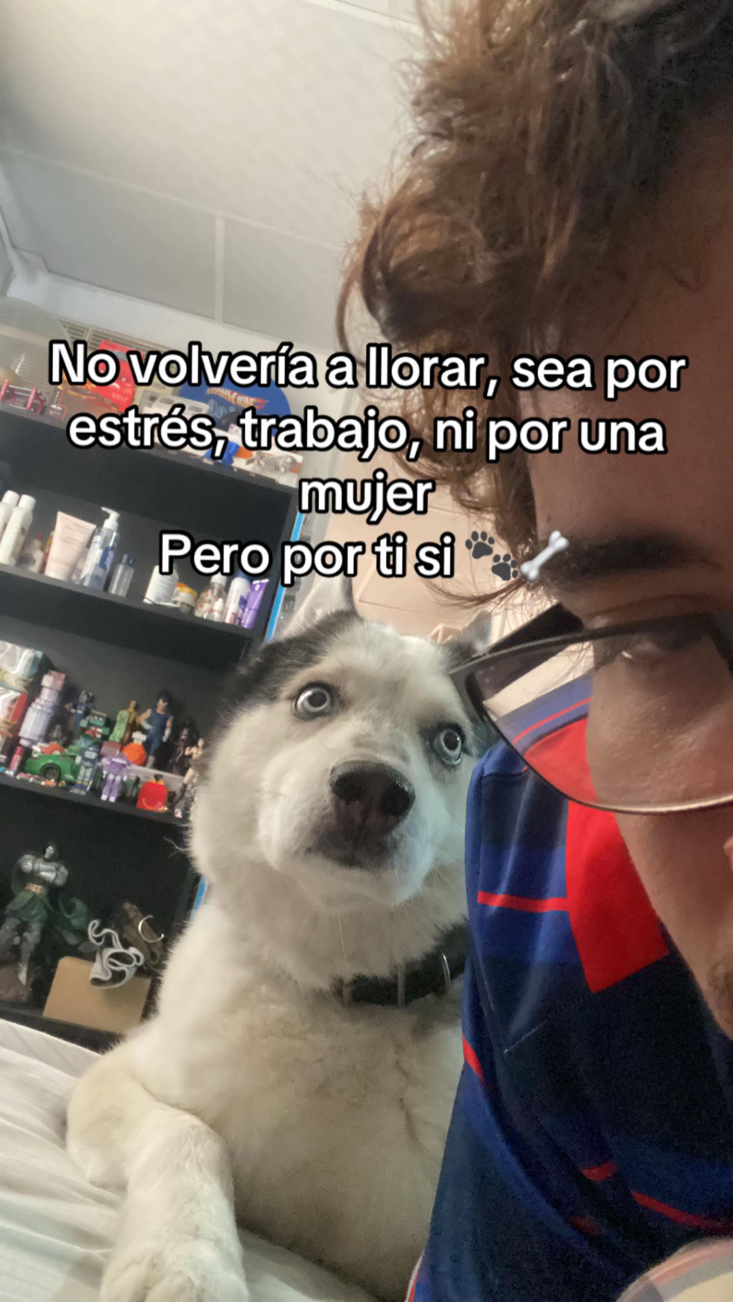 @Kder99 🇨🇦🇪🇨
