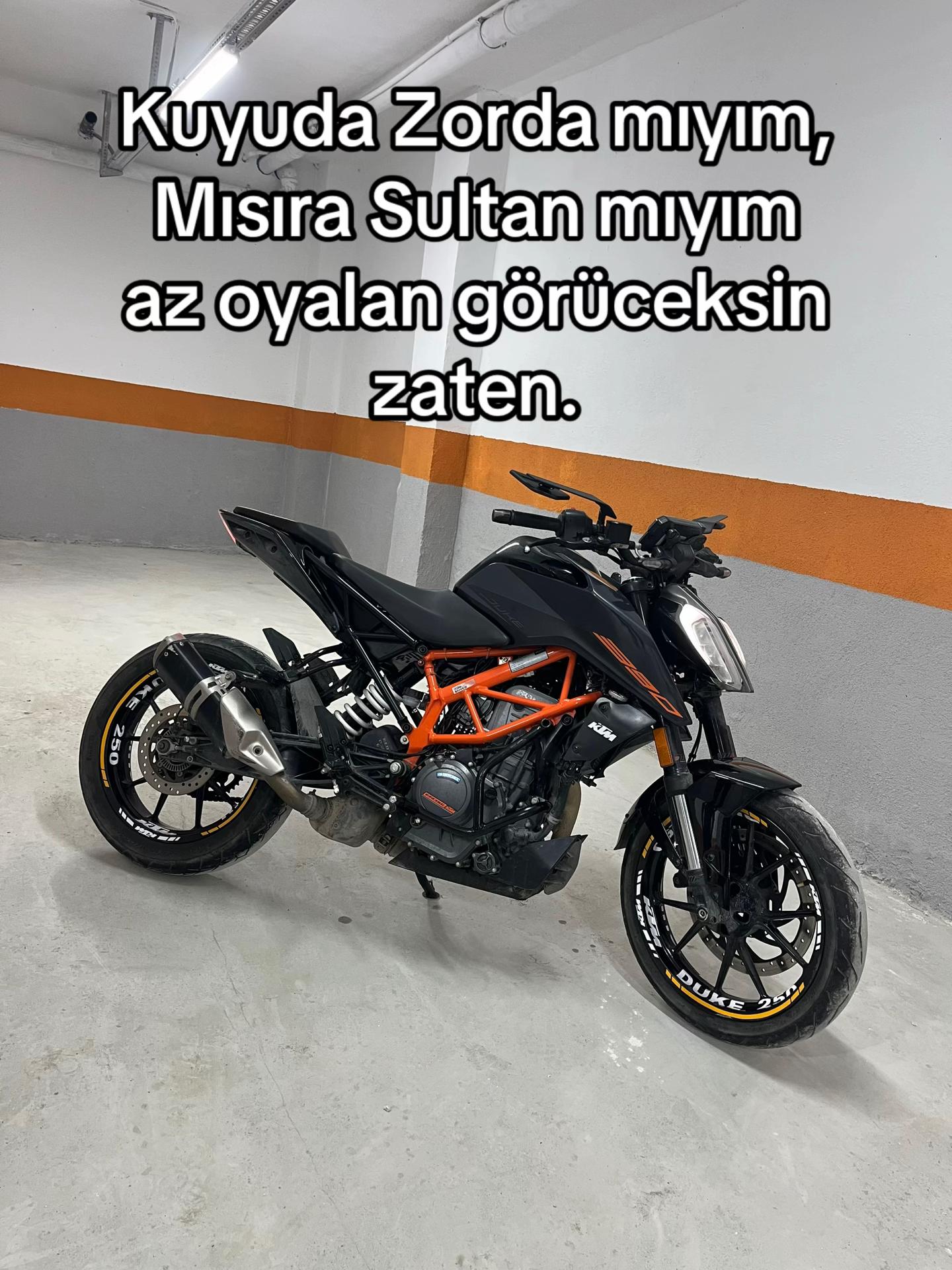 @selimarslan.34