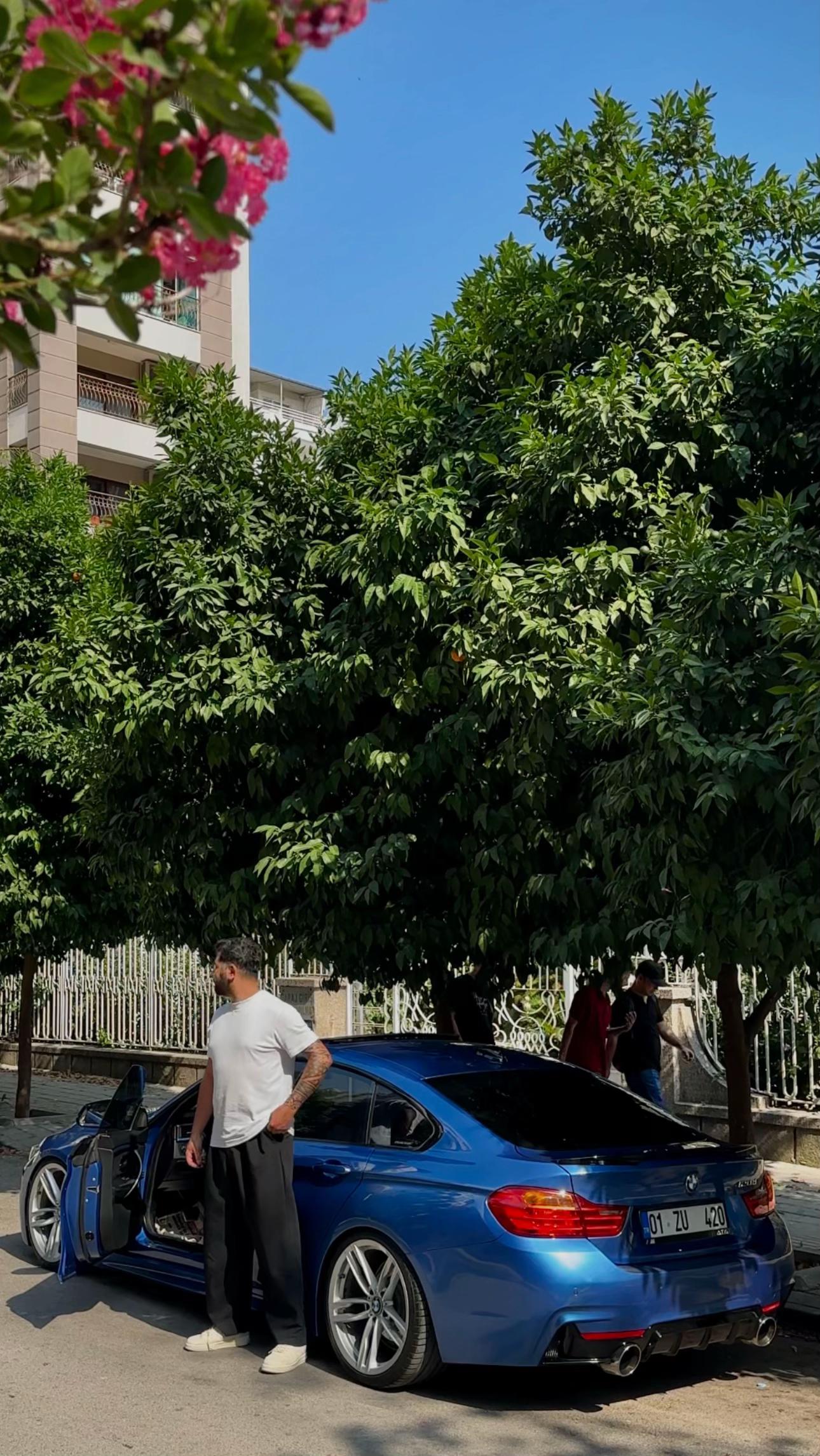 @•Seymen Girgis