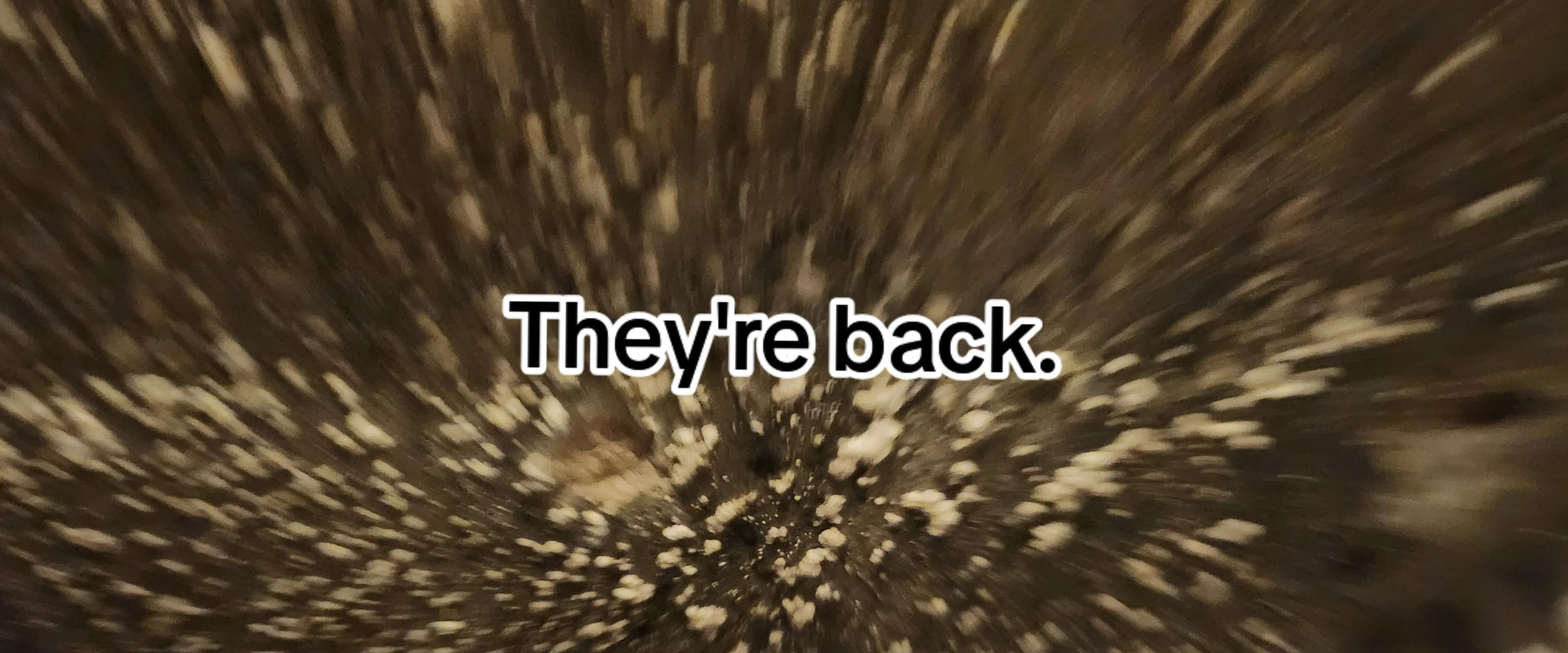 @MrggTV