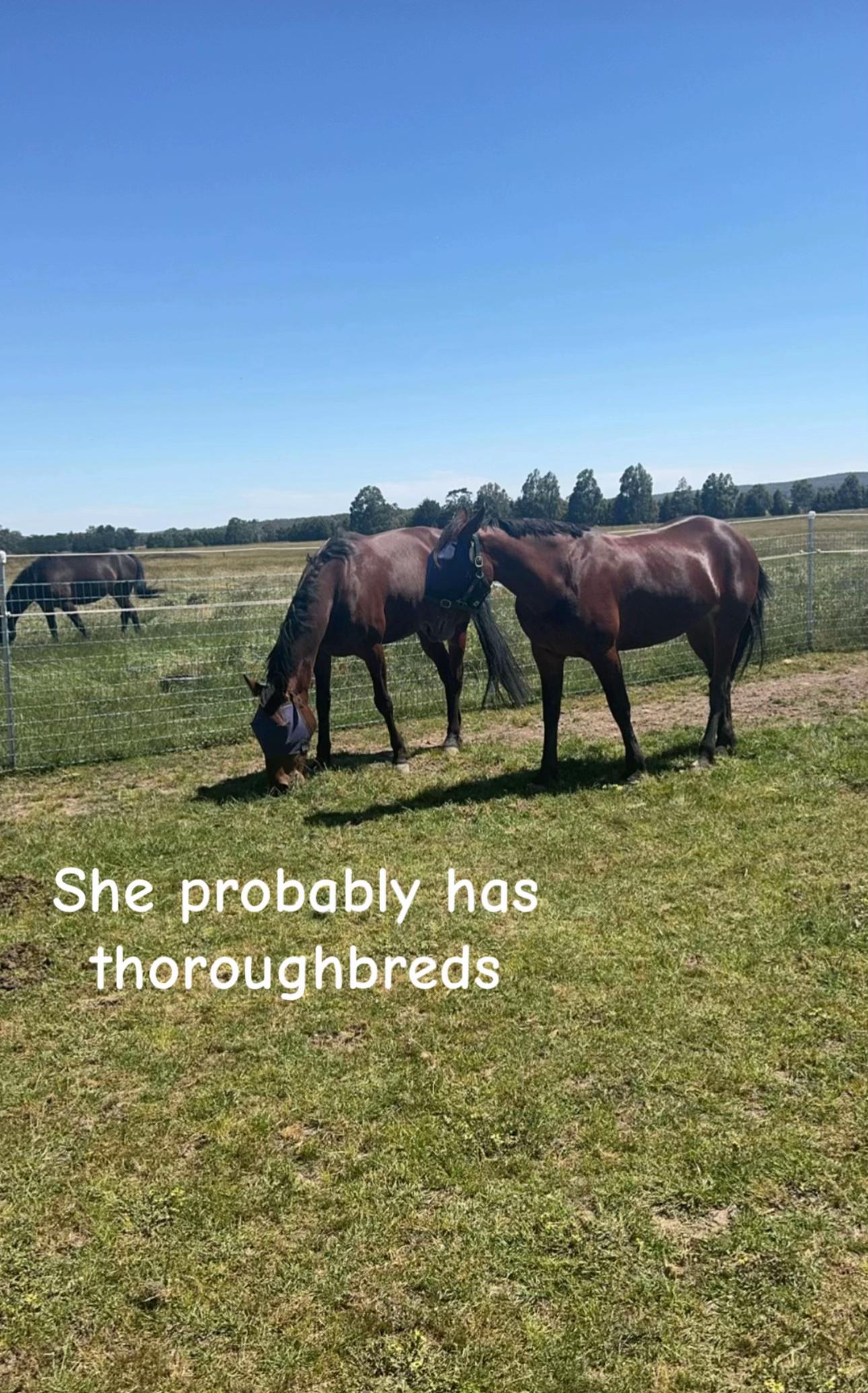 @Brynn.eq