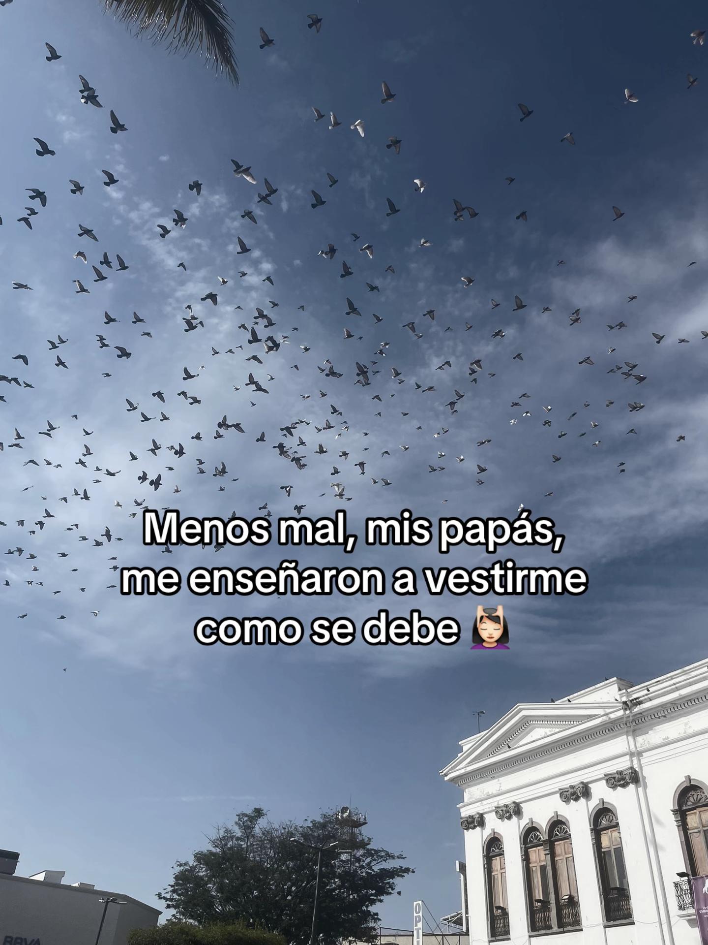 @ᥫ᭡steff