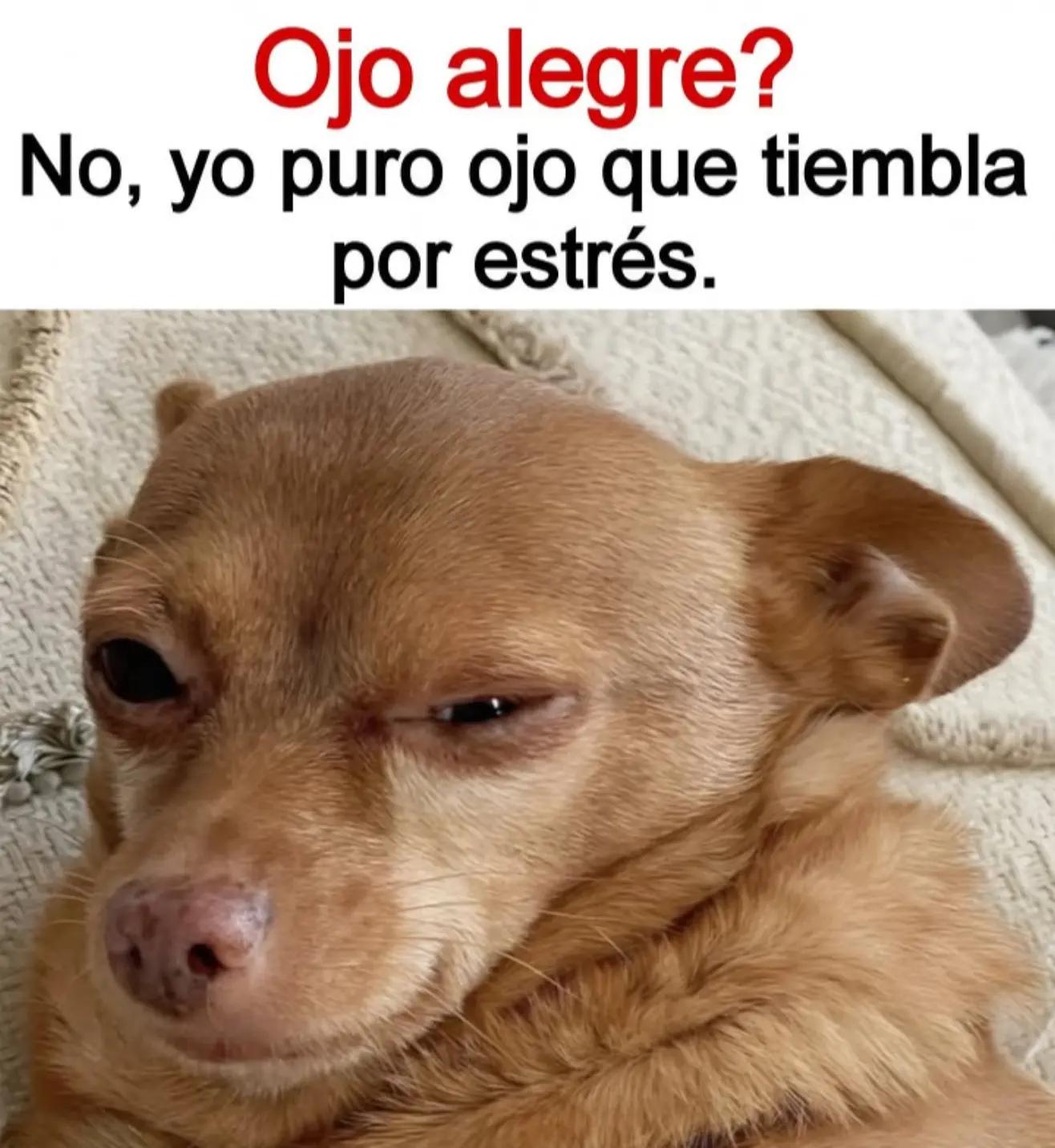 @Davmor