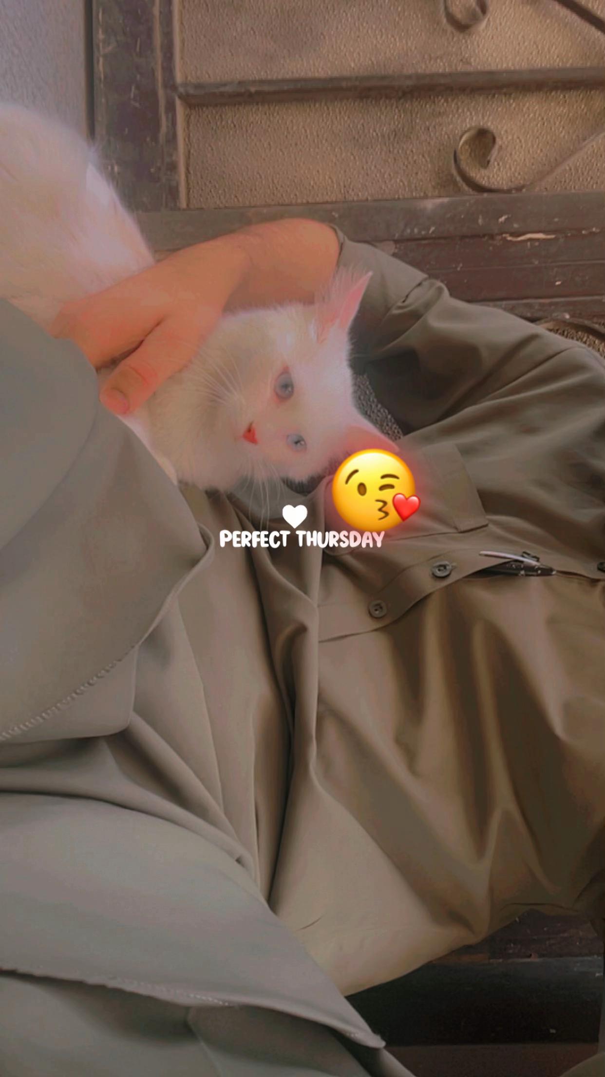 @꧁༺ʍʀ ӄɦǟռօ༻꧂