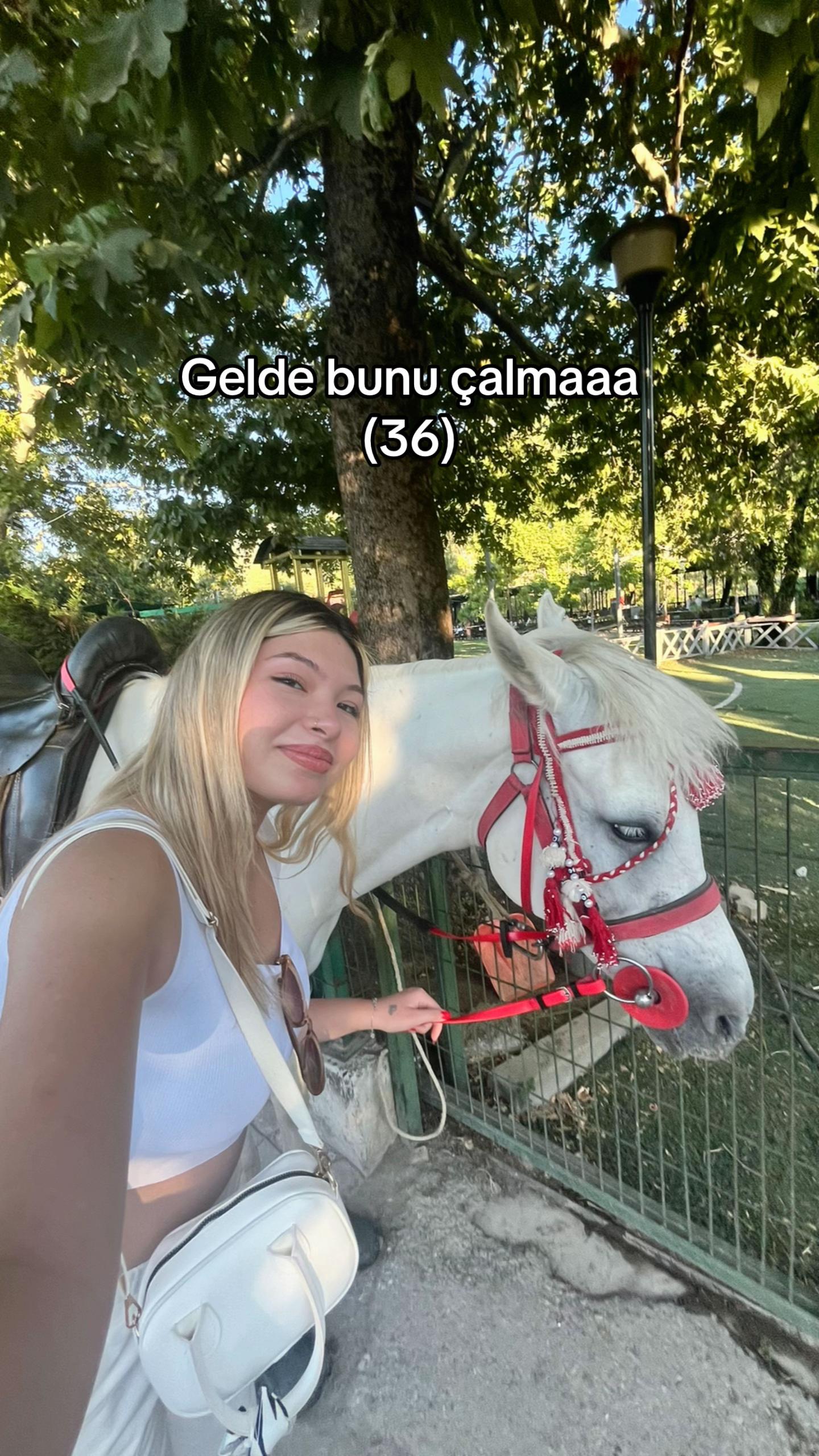 @lyaseminll