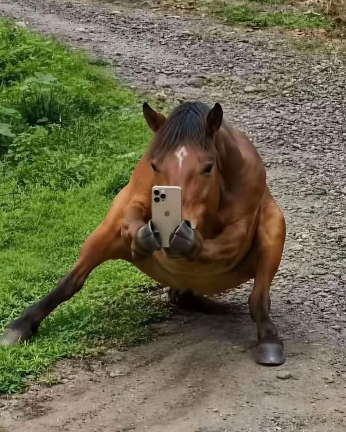 @𝒟𝒶𝓃𝓃