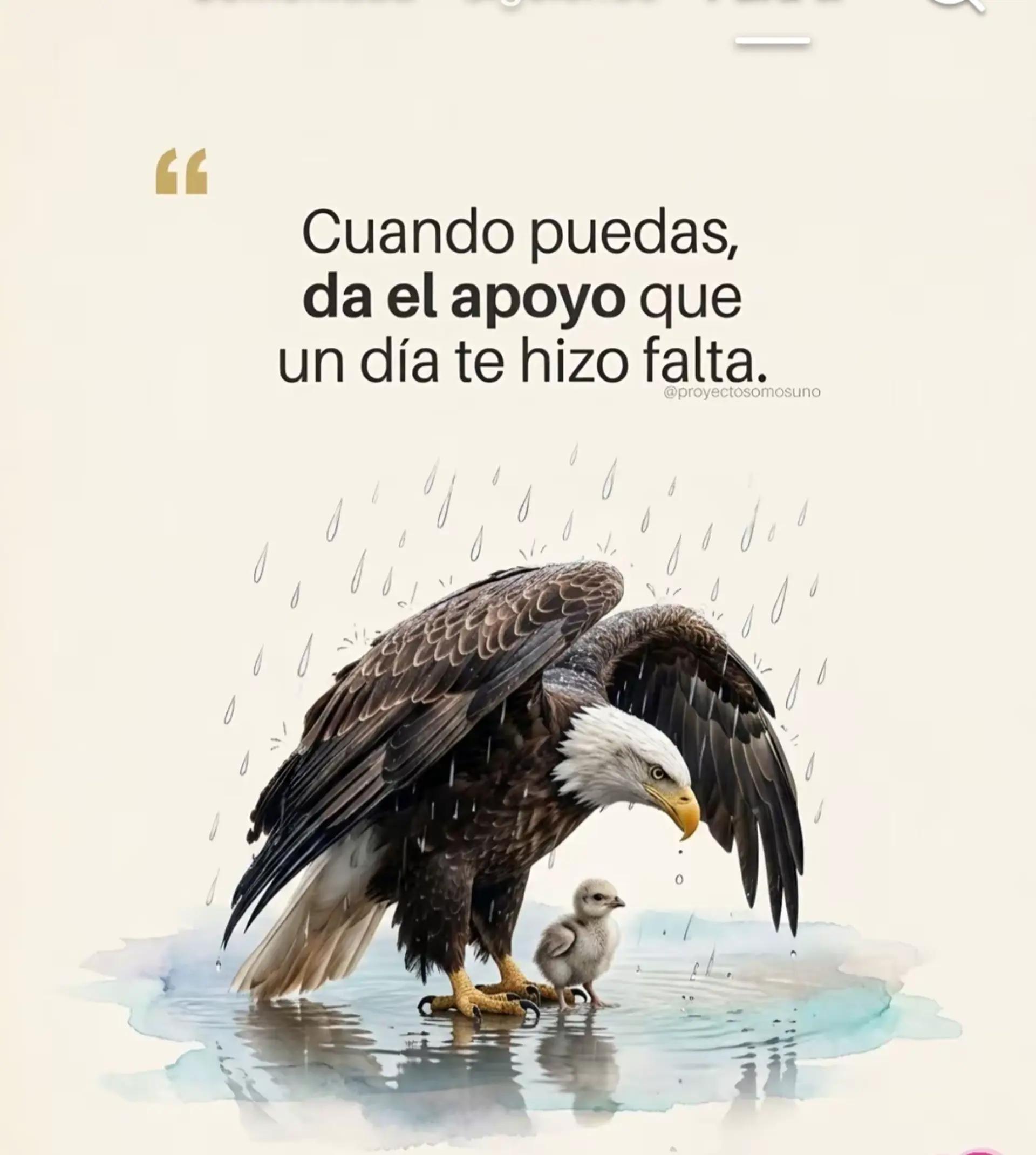 @UnlocoCuerdo