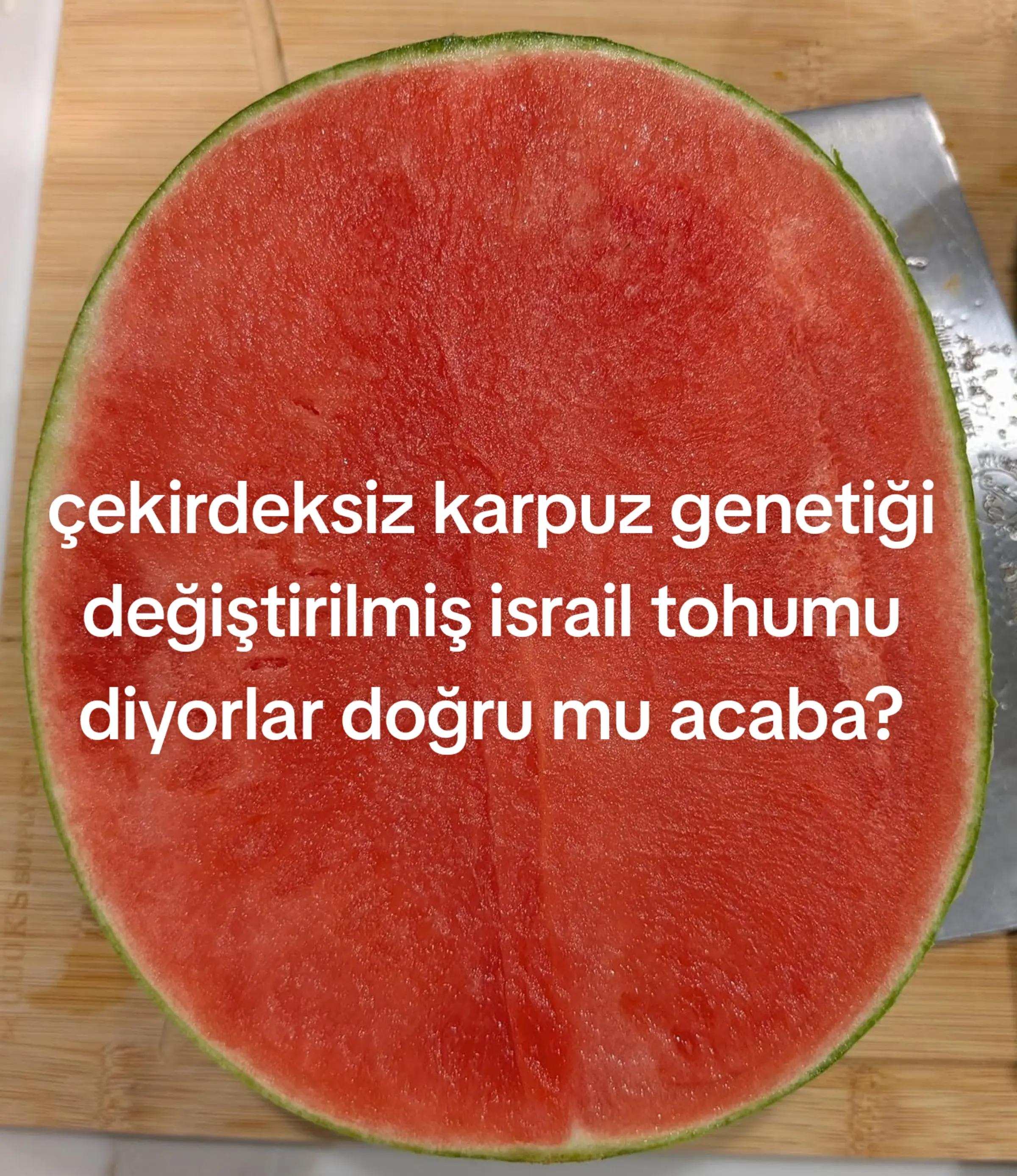 @aktuelbilgi