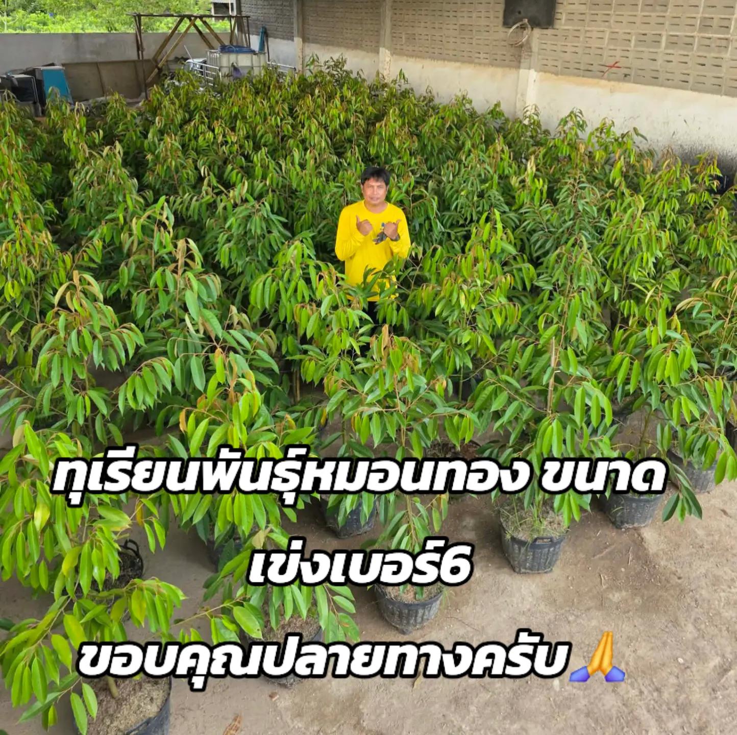 @นาย จังโก้