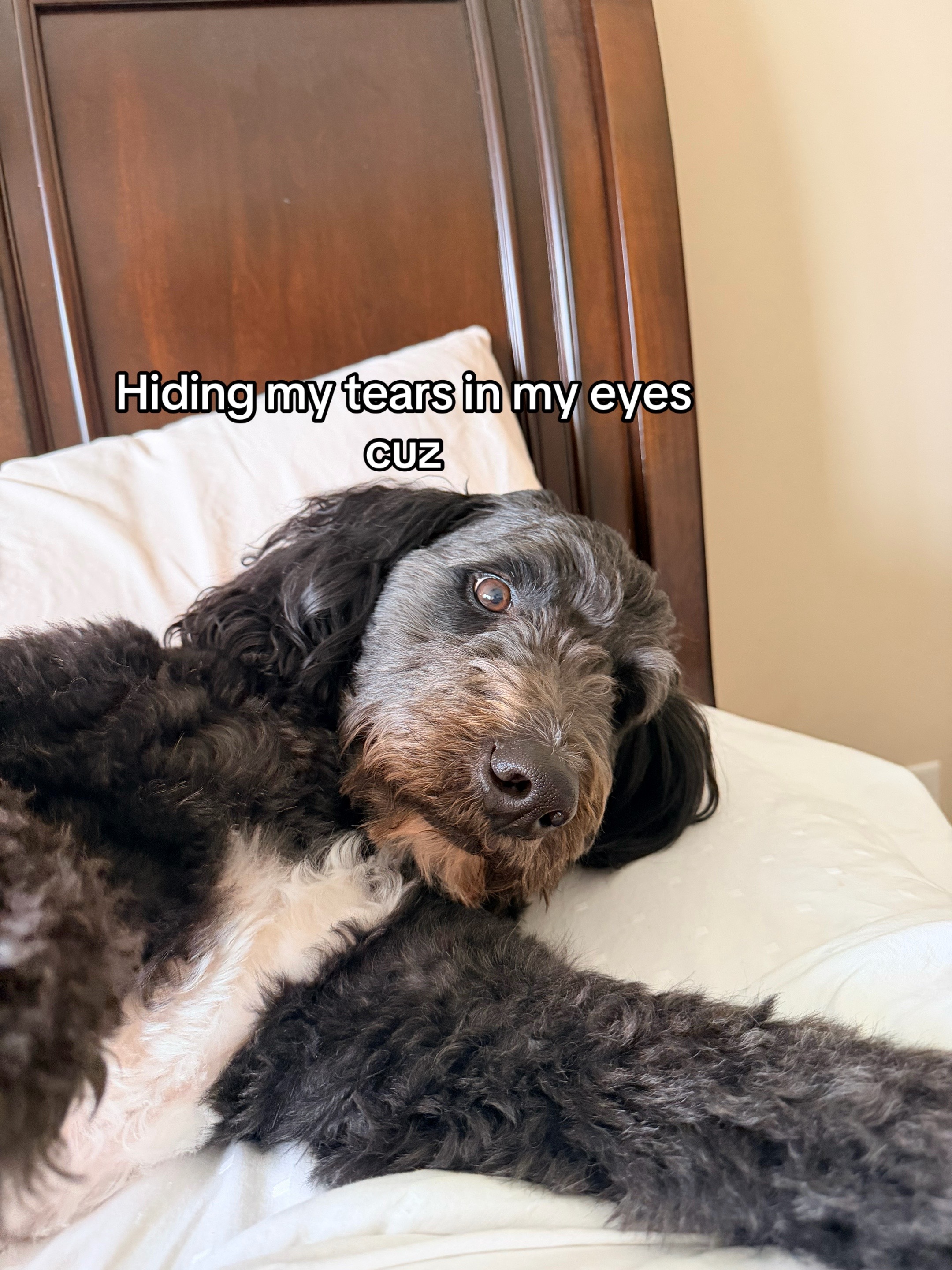 @TikTok ZacFN