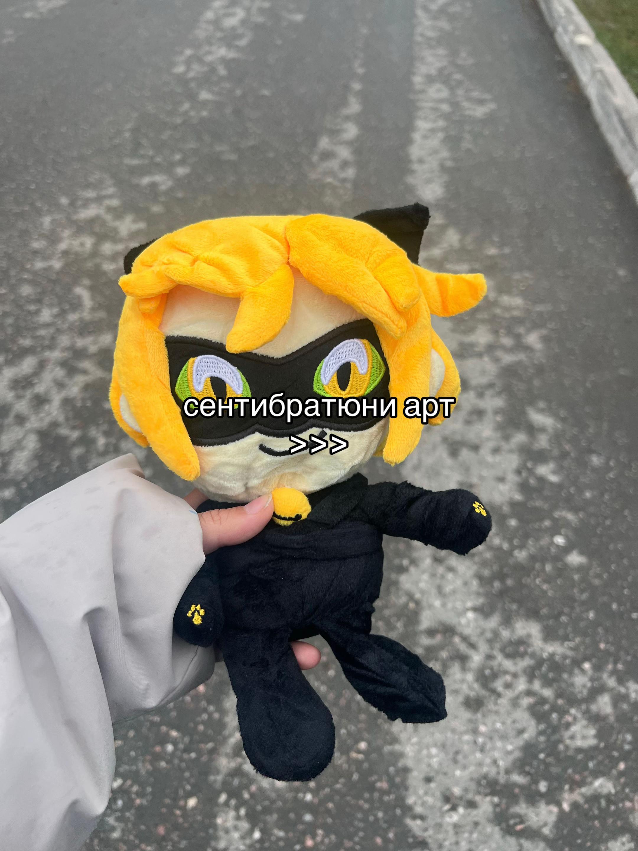 @darya