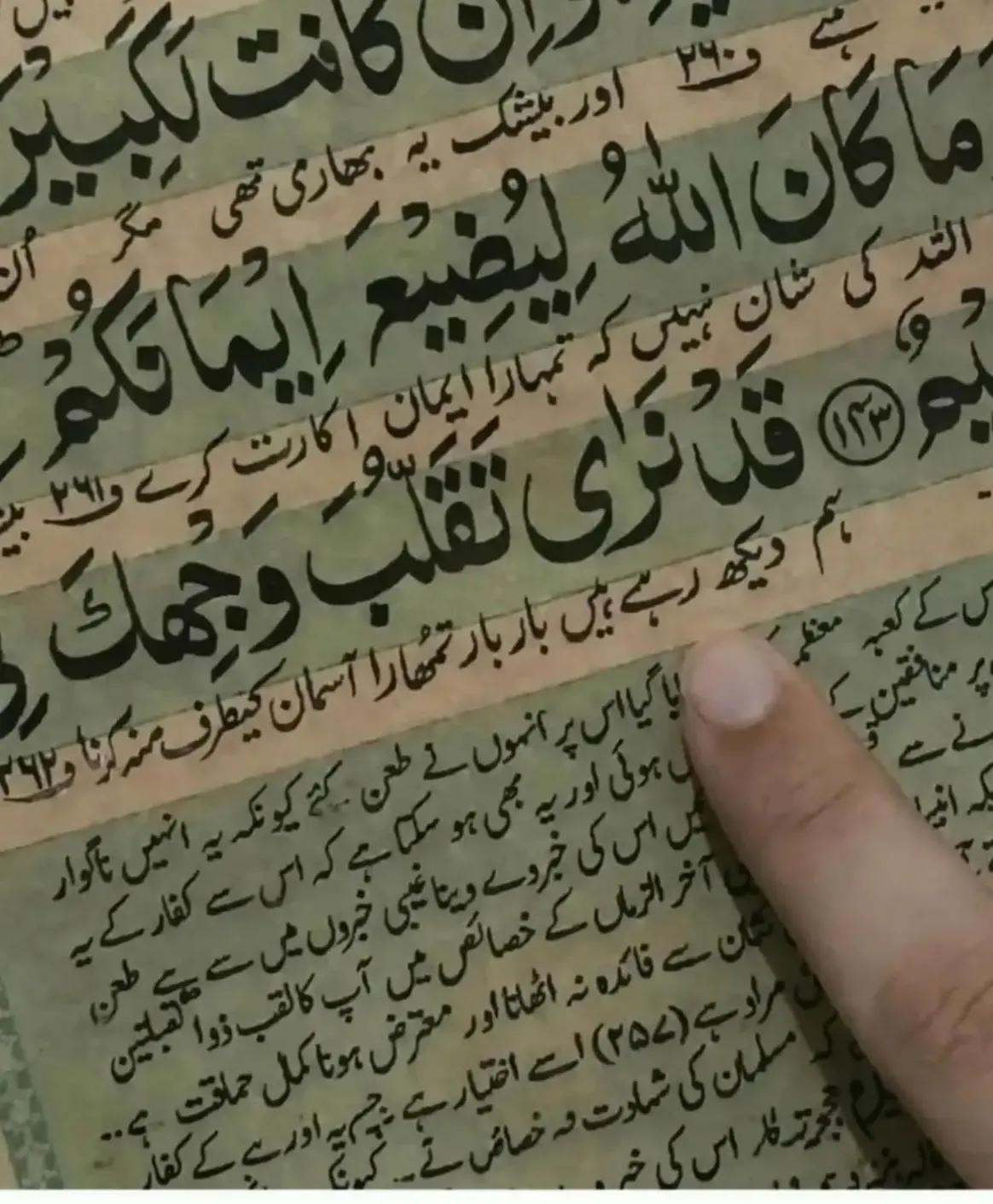 @ضلعے شاہ🇸🇦
