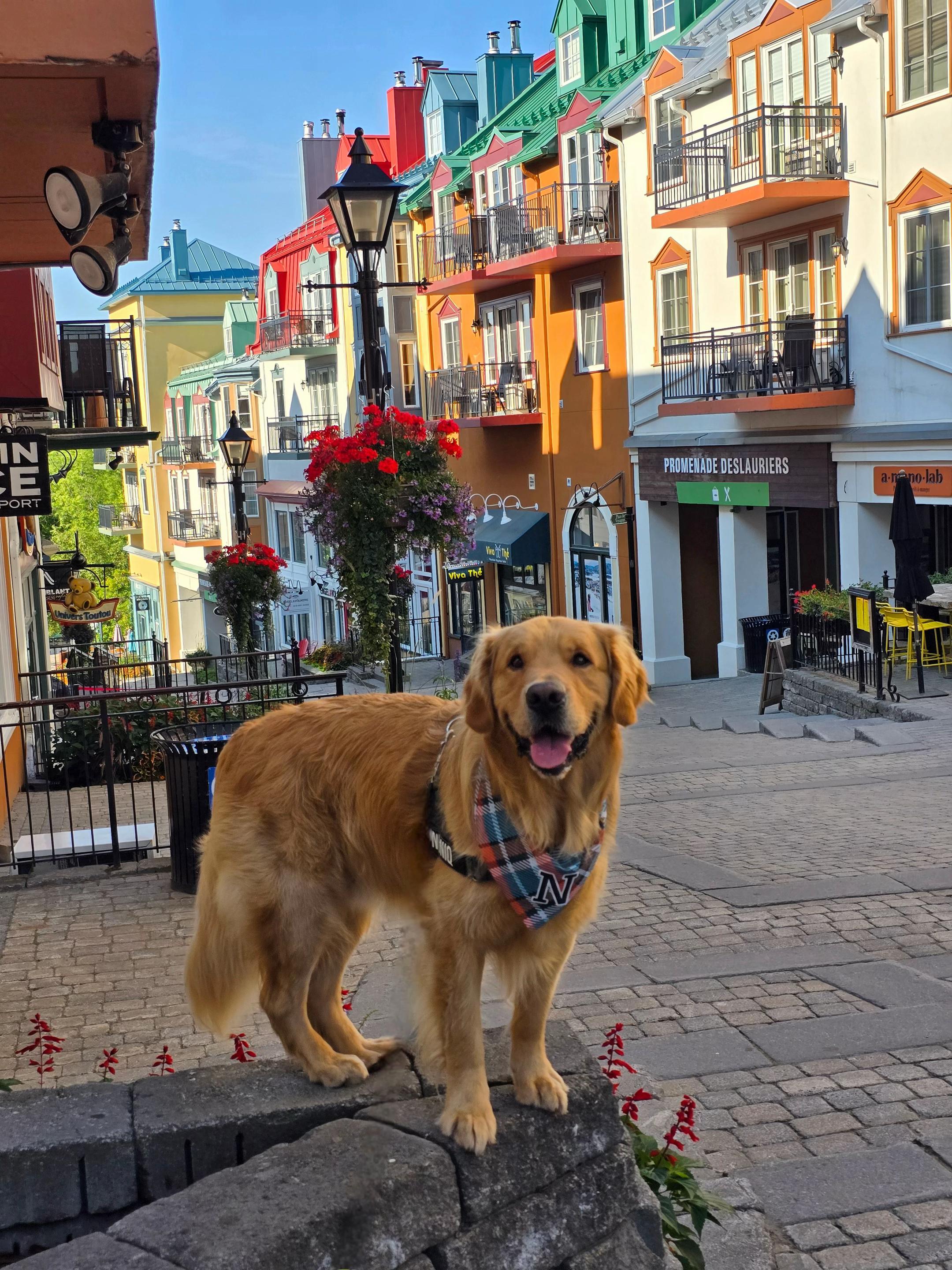 @Tremblant