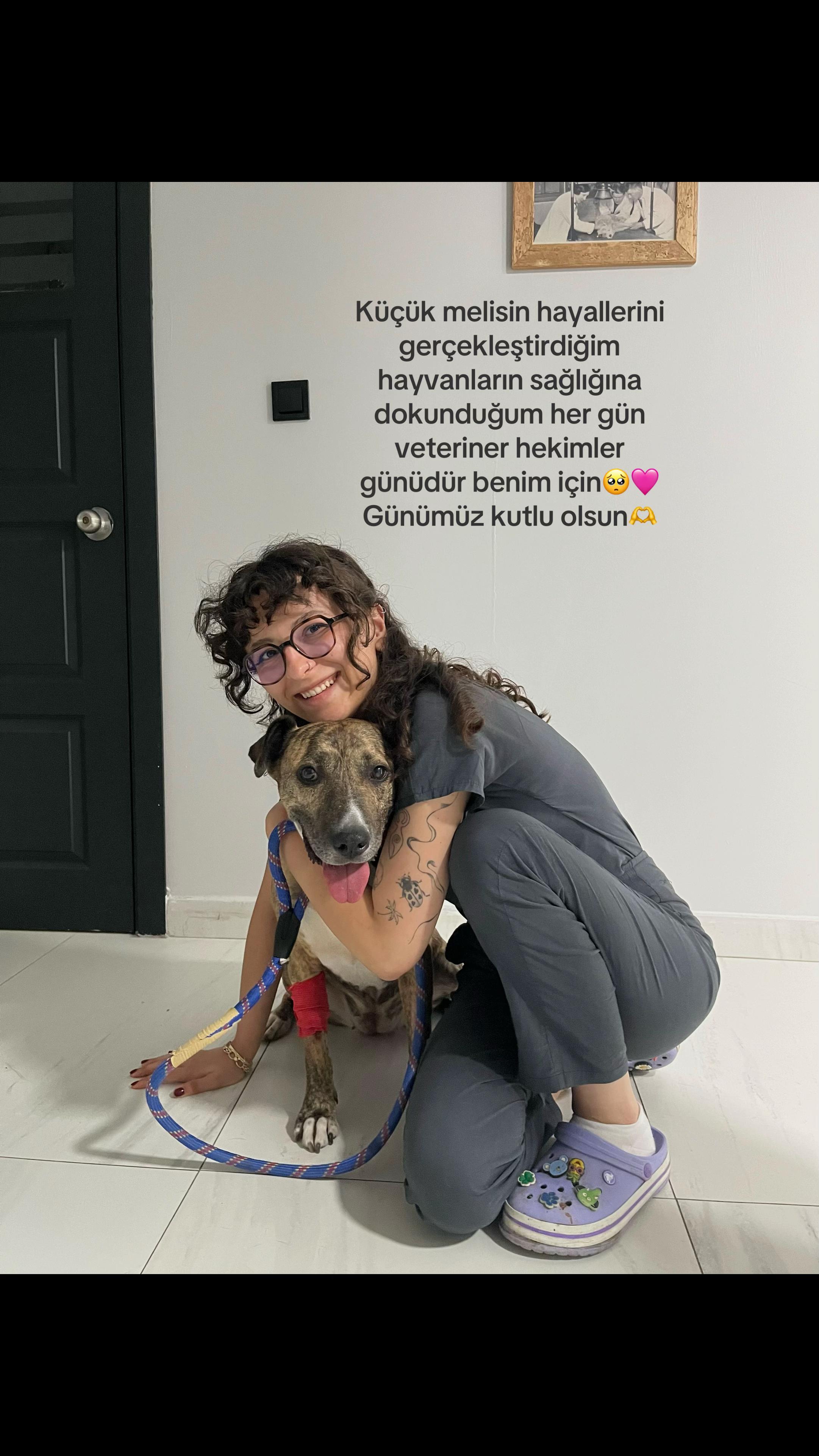 @vetmelo