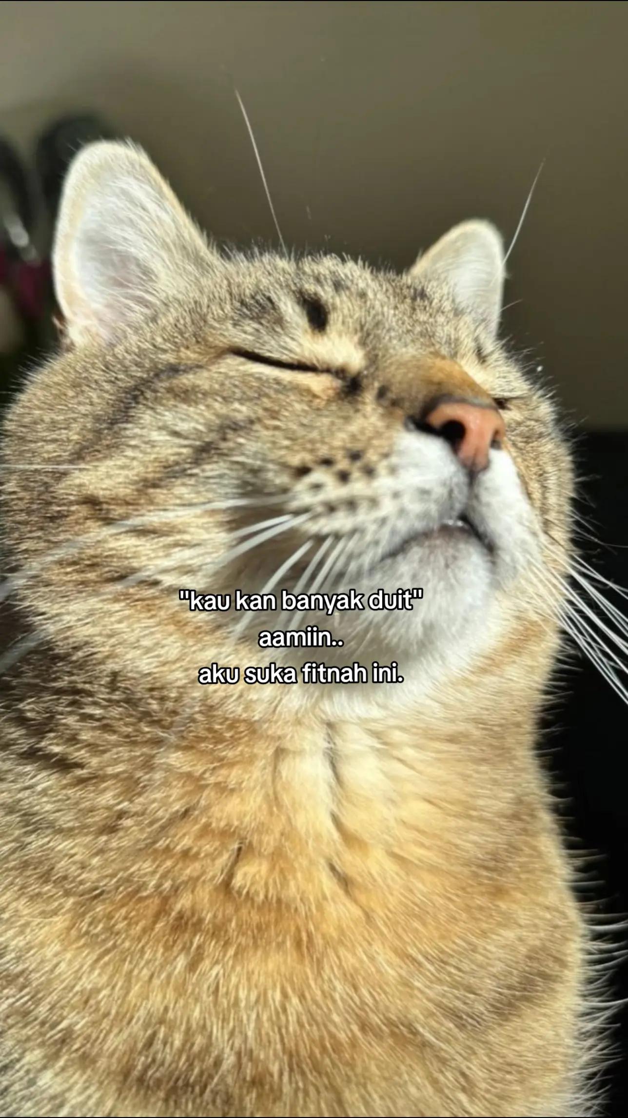 @M A N