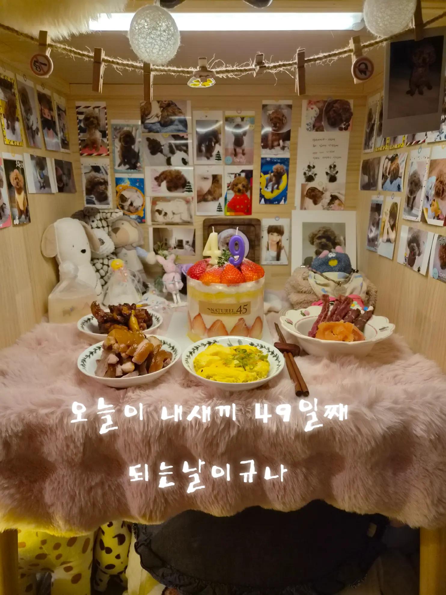 @몽이쒸네~푸들
