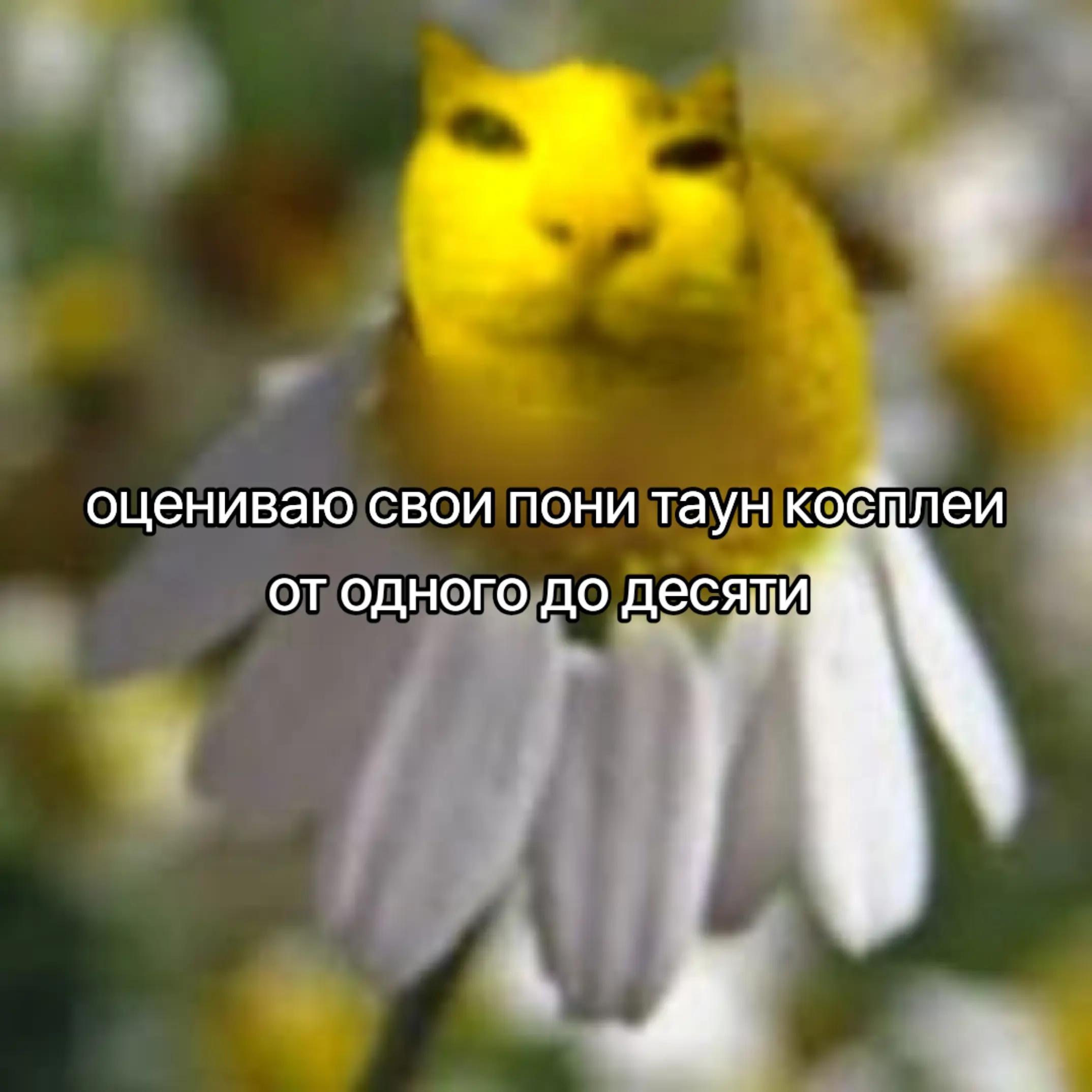 @keff