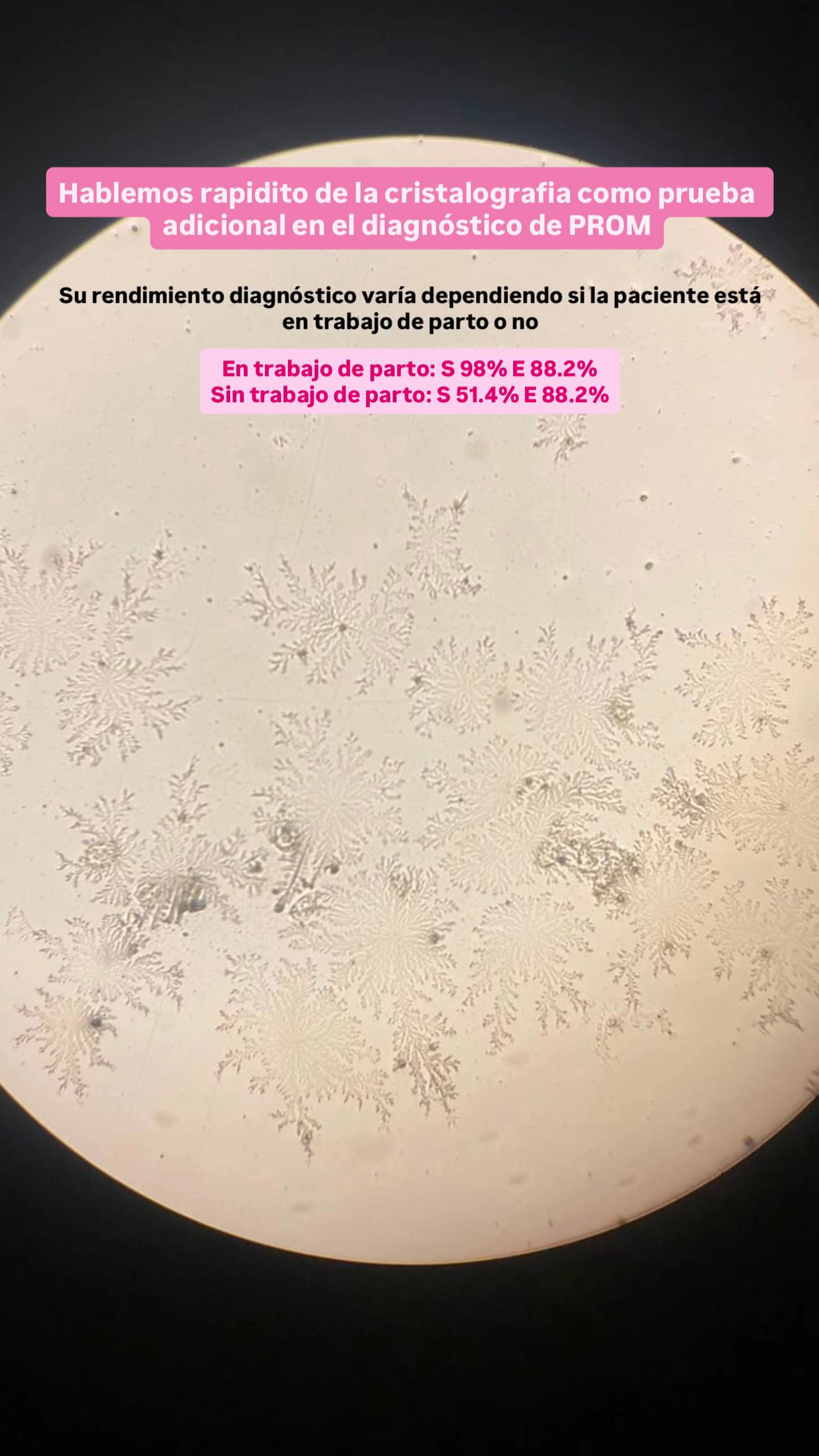 @ferlegarra