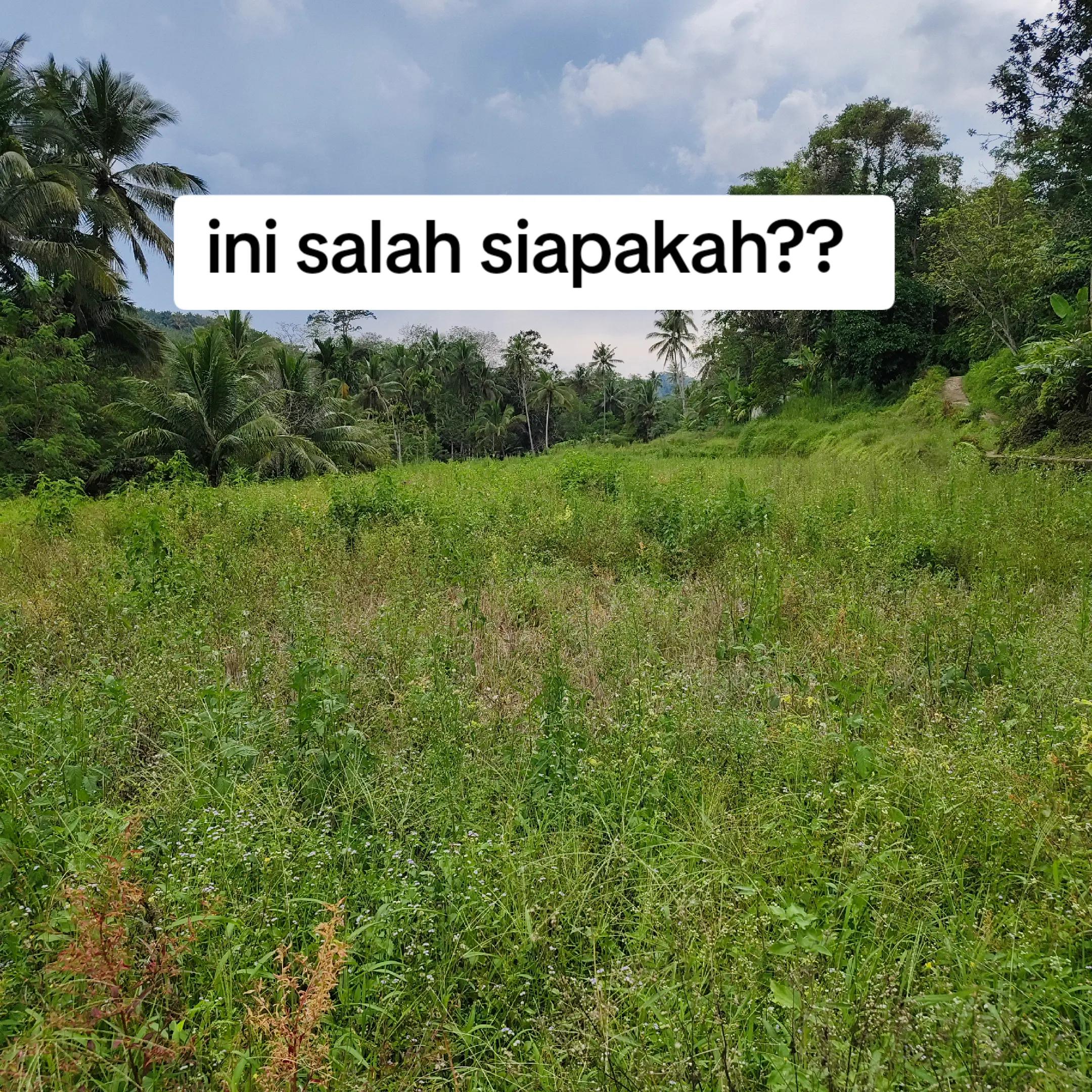 @petani kecil ujung tapsel
