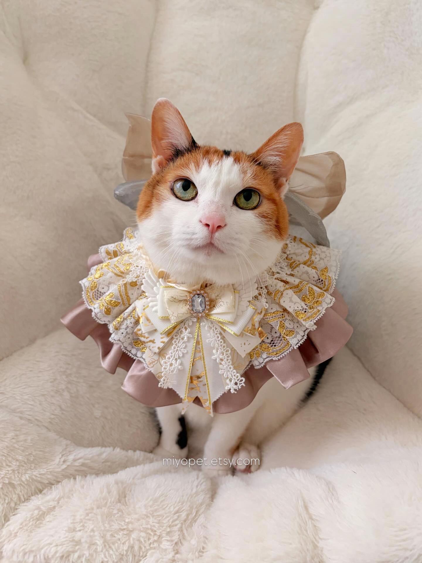 @Miyopet