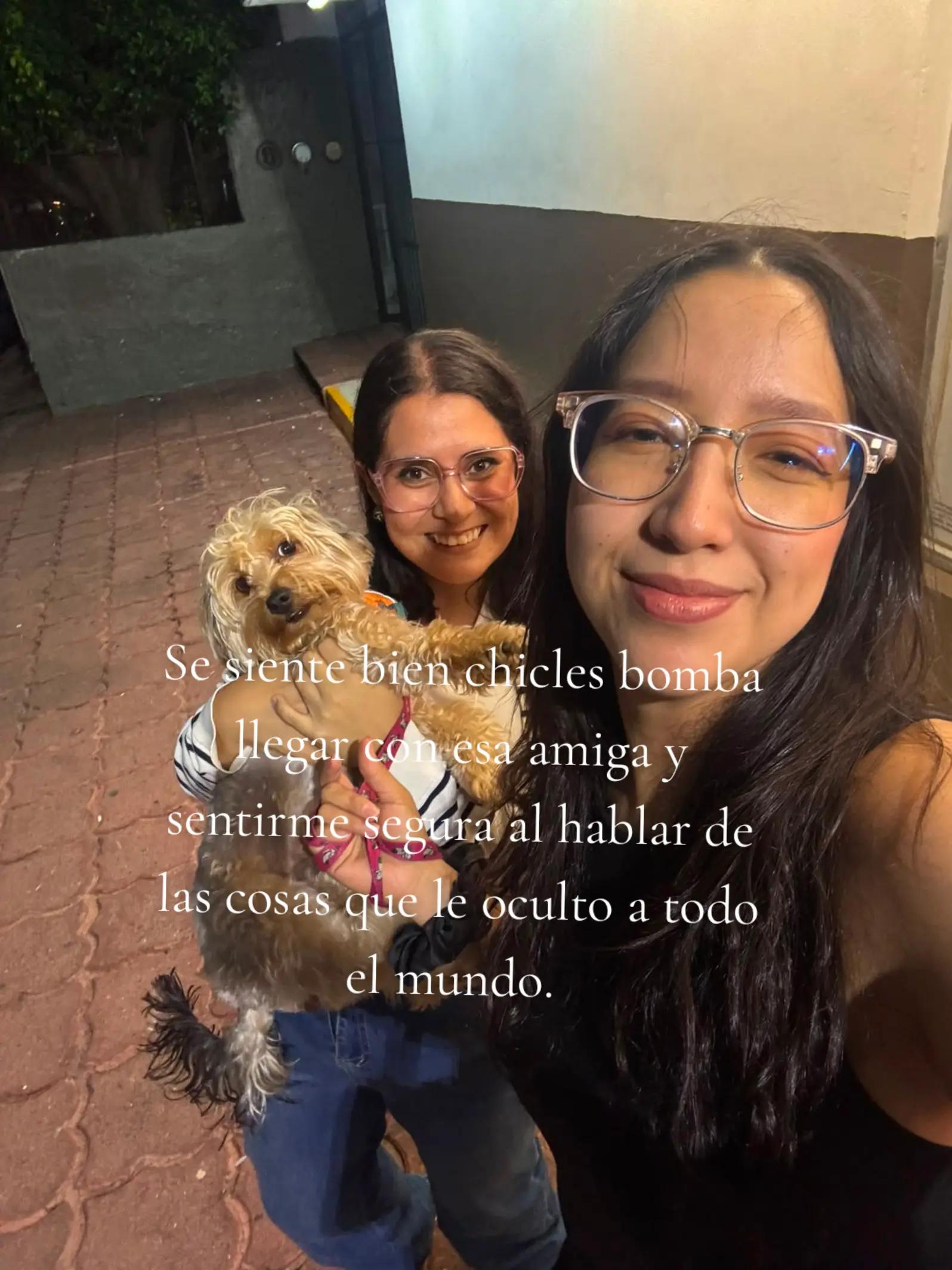 @Dani Mindset