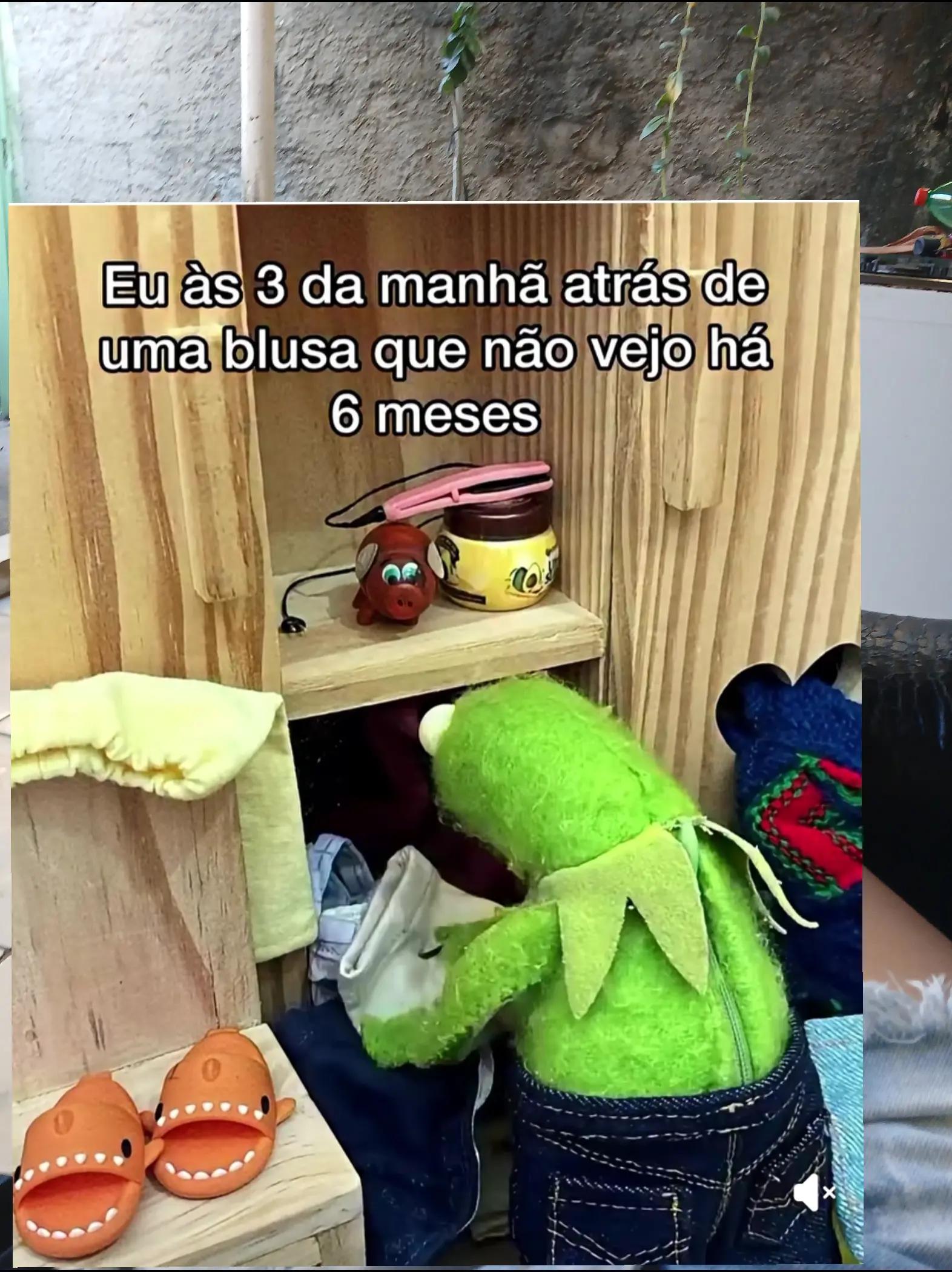 @humor da Célia 🤣
