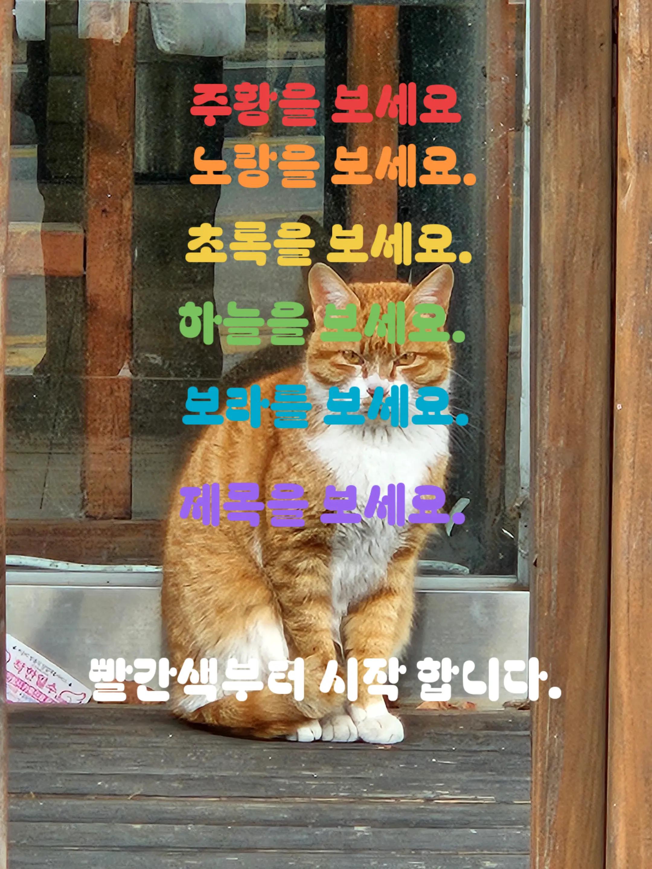 @태권소녀