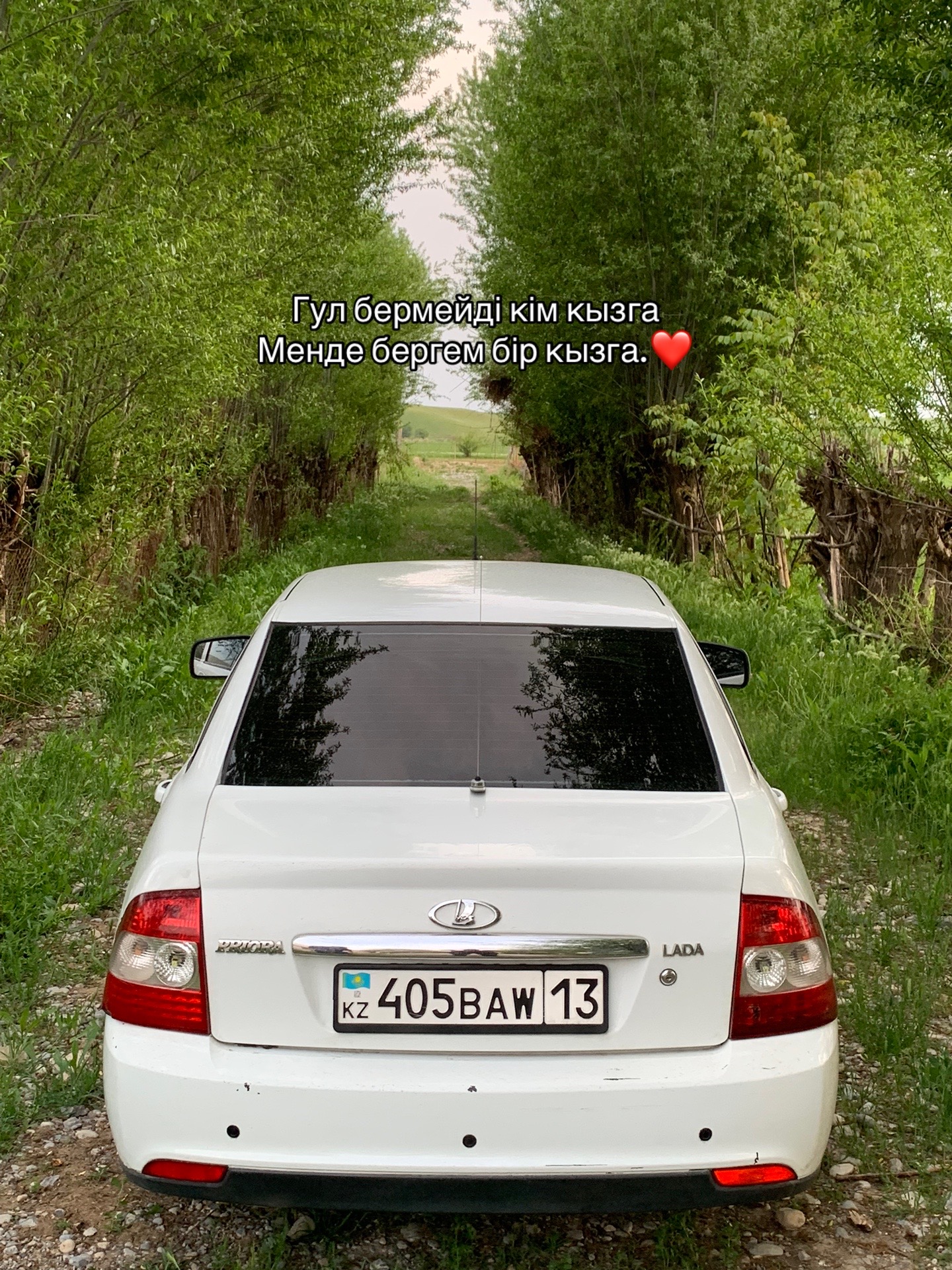 @nushanov_77