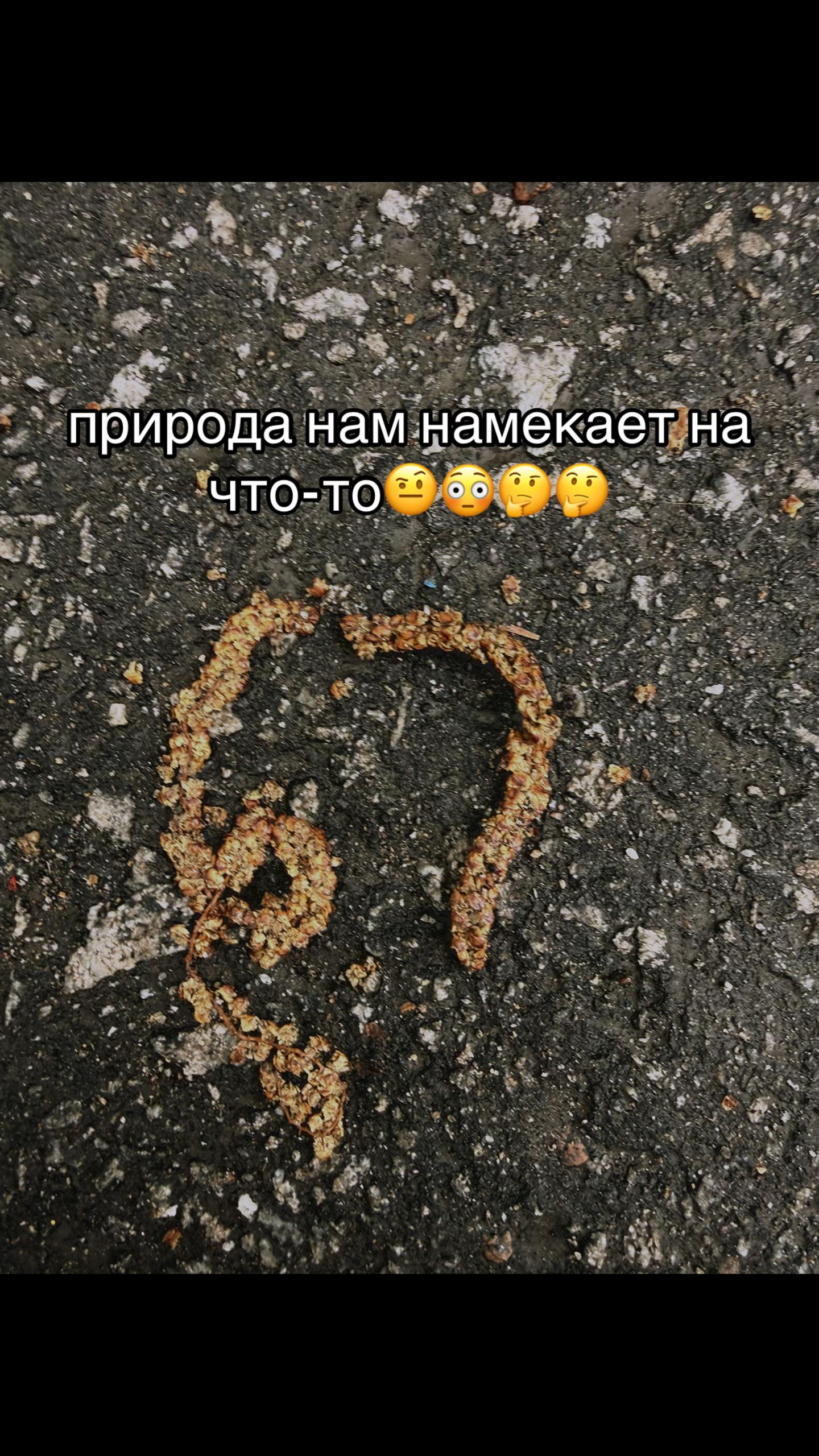 @lizzwiththerizz༒
