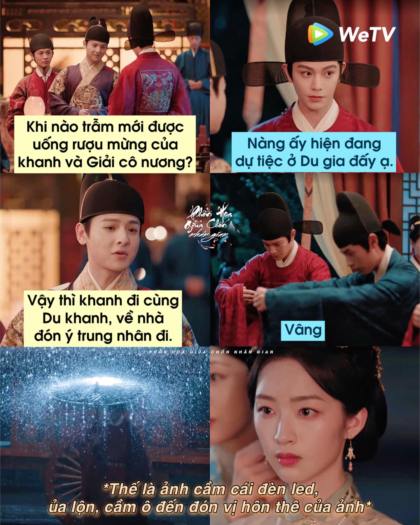 @Phồn Hoa Giữa Chốn Nhân Gian🌸