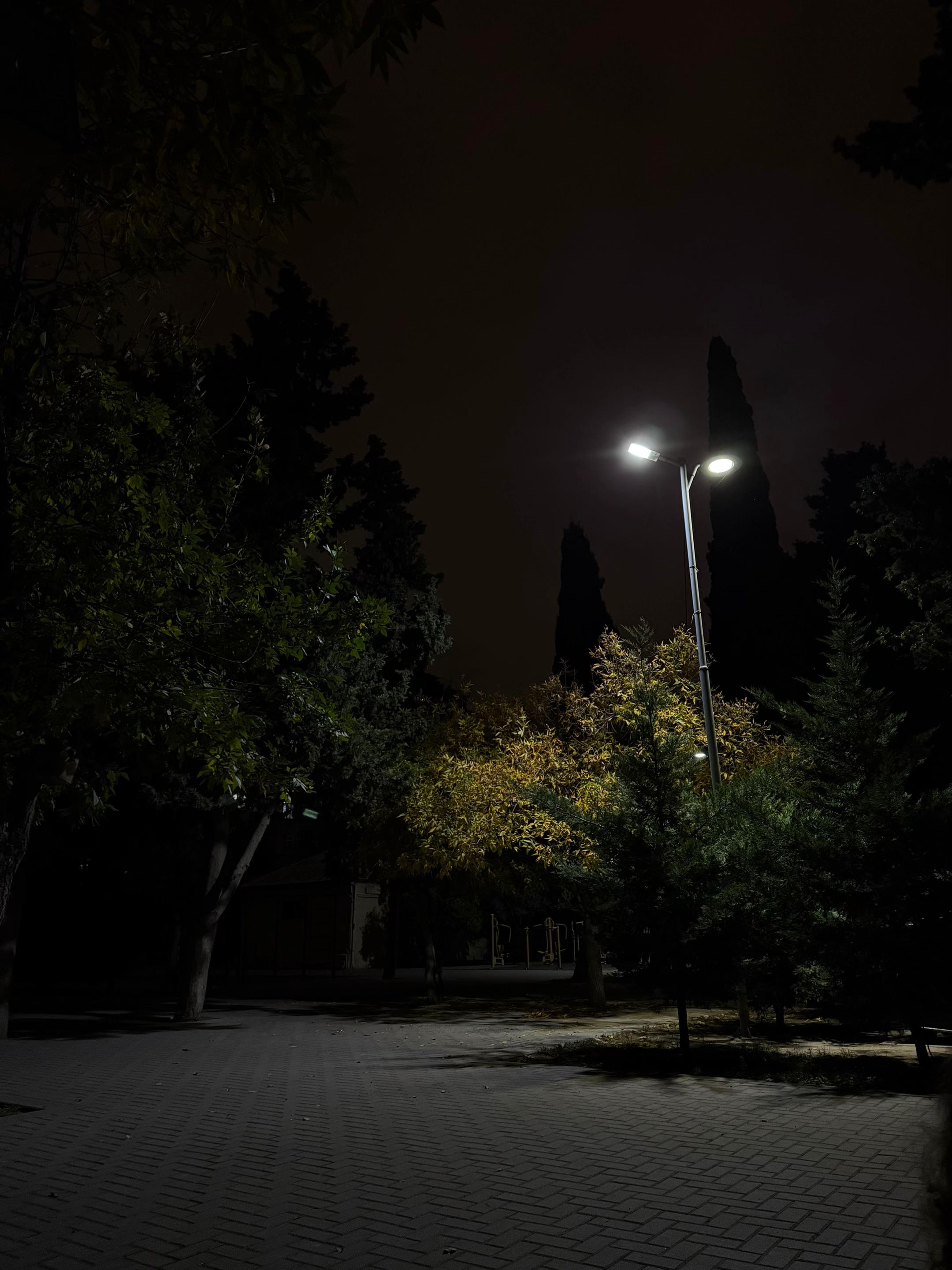 @Turanə Əliyeva