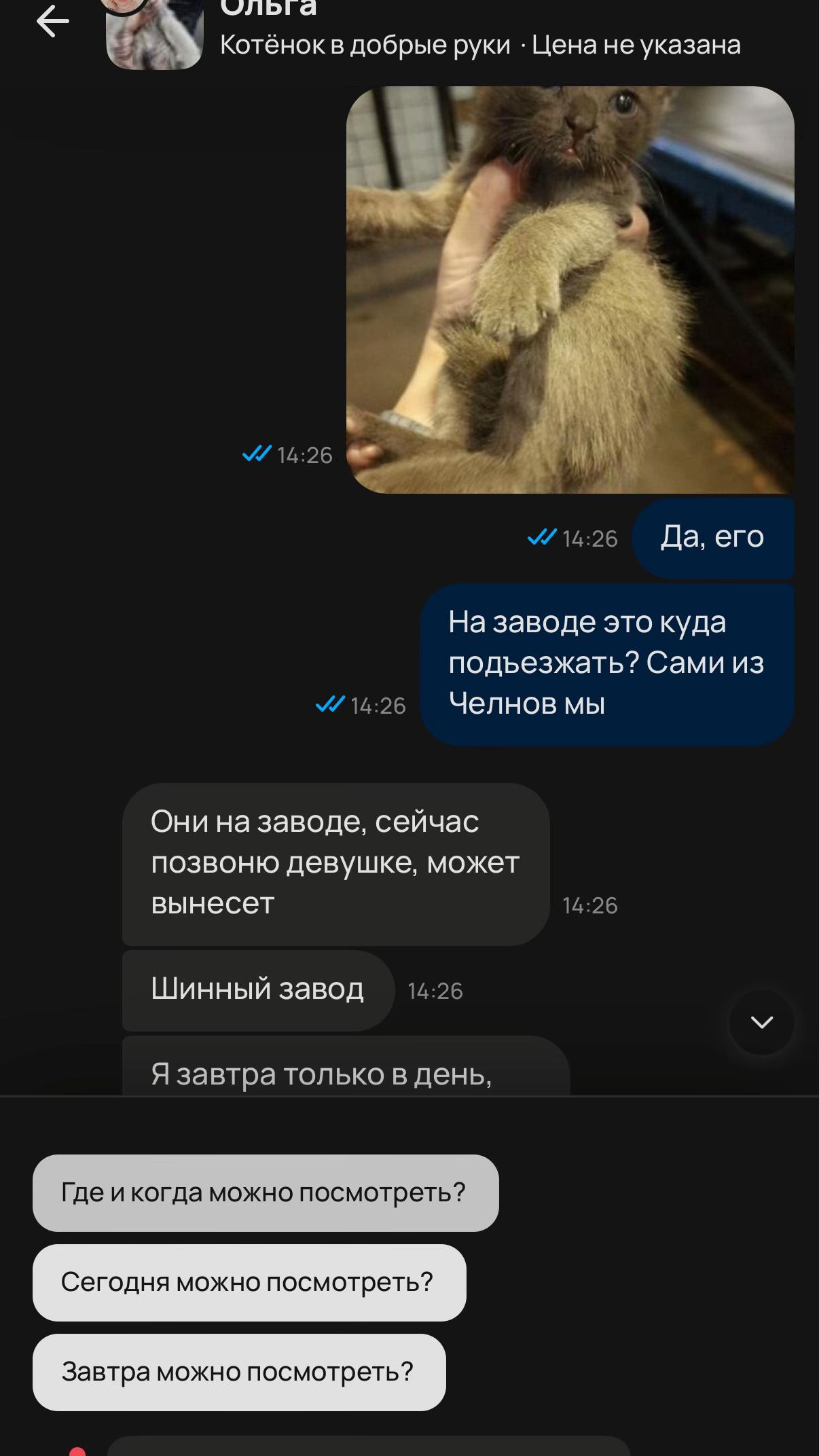 @азалка