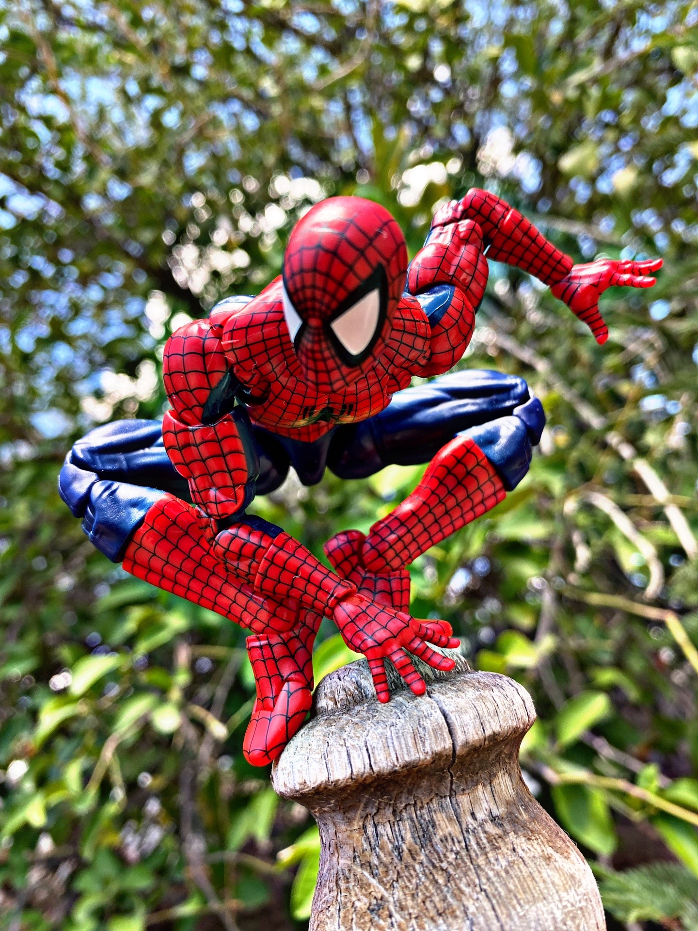 @ACTION_FIG _NIG269