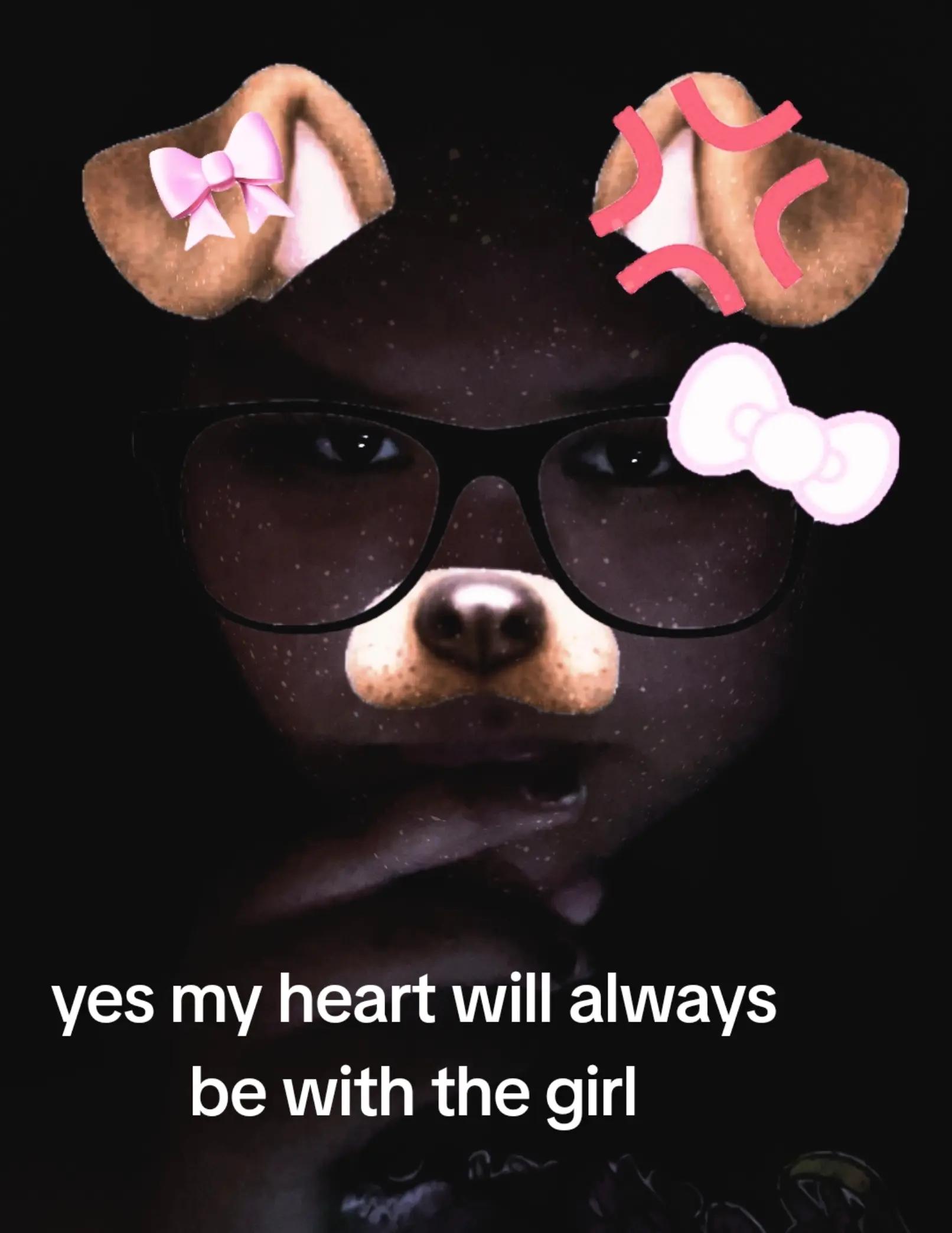 @♡kat♡