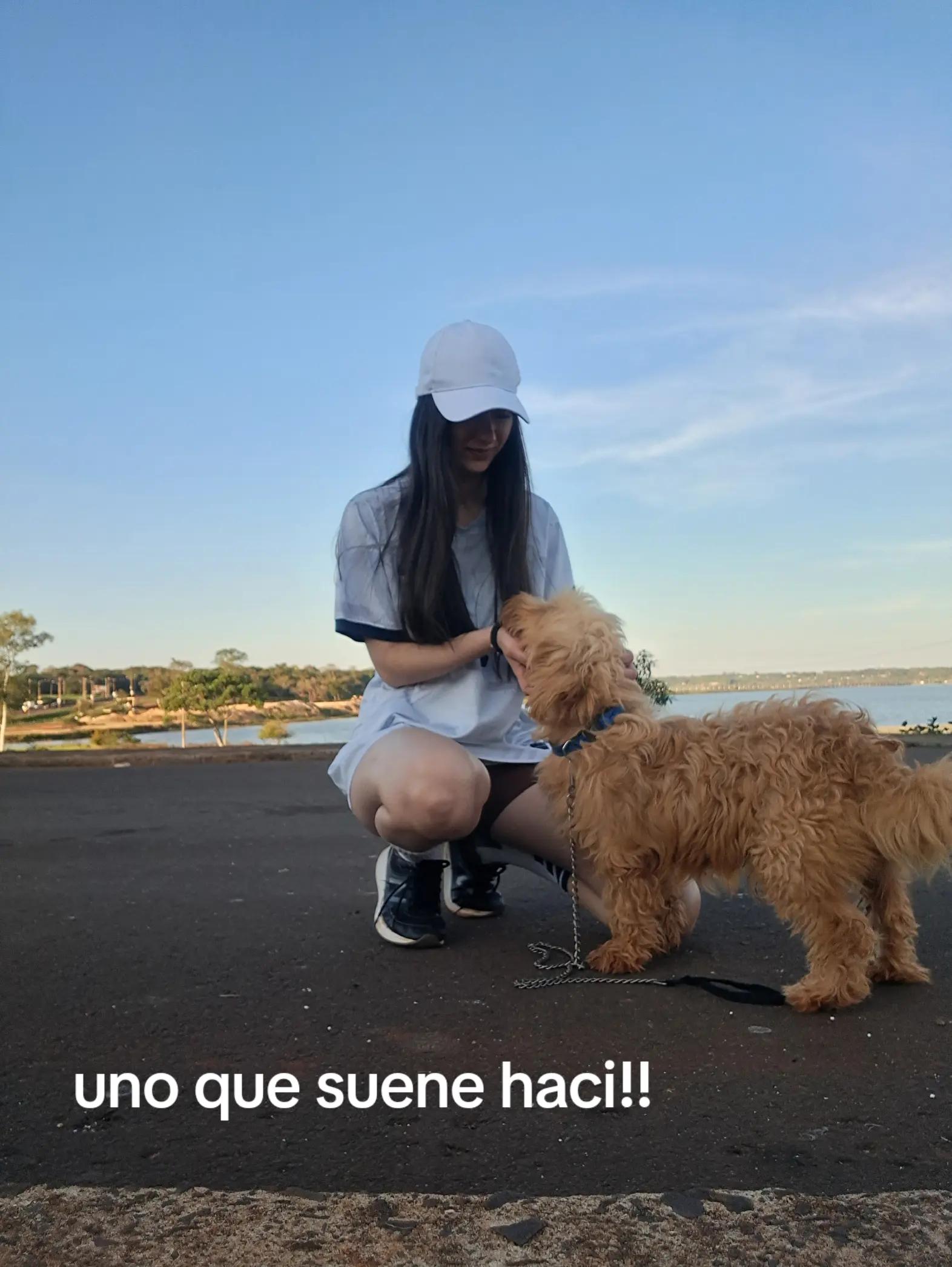 @Evee🐚