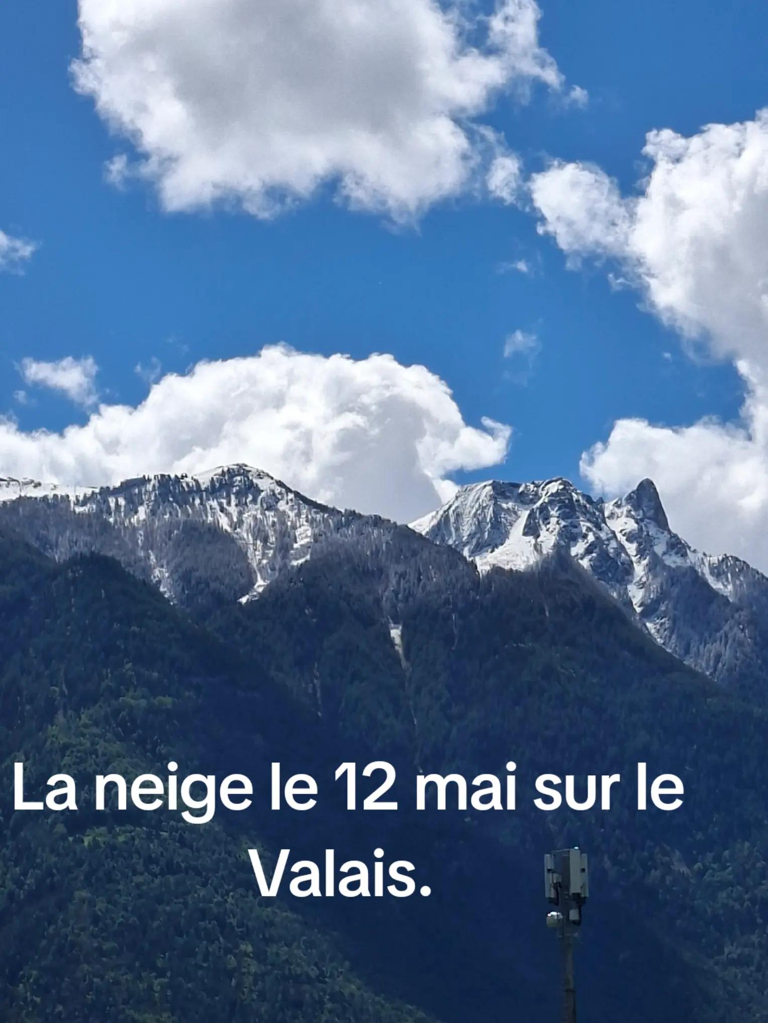 @Joris christophe