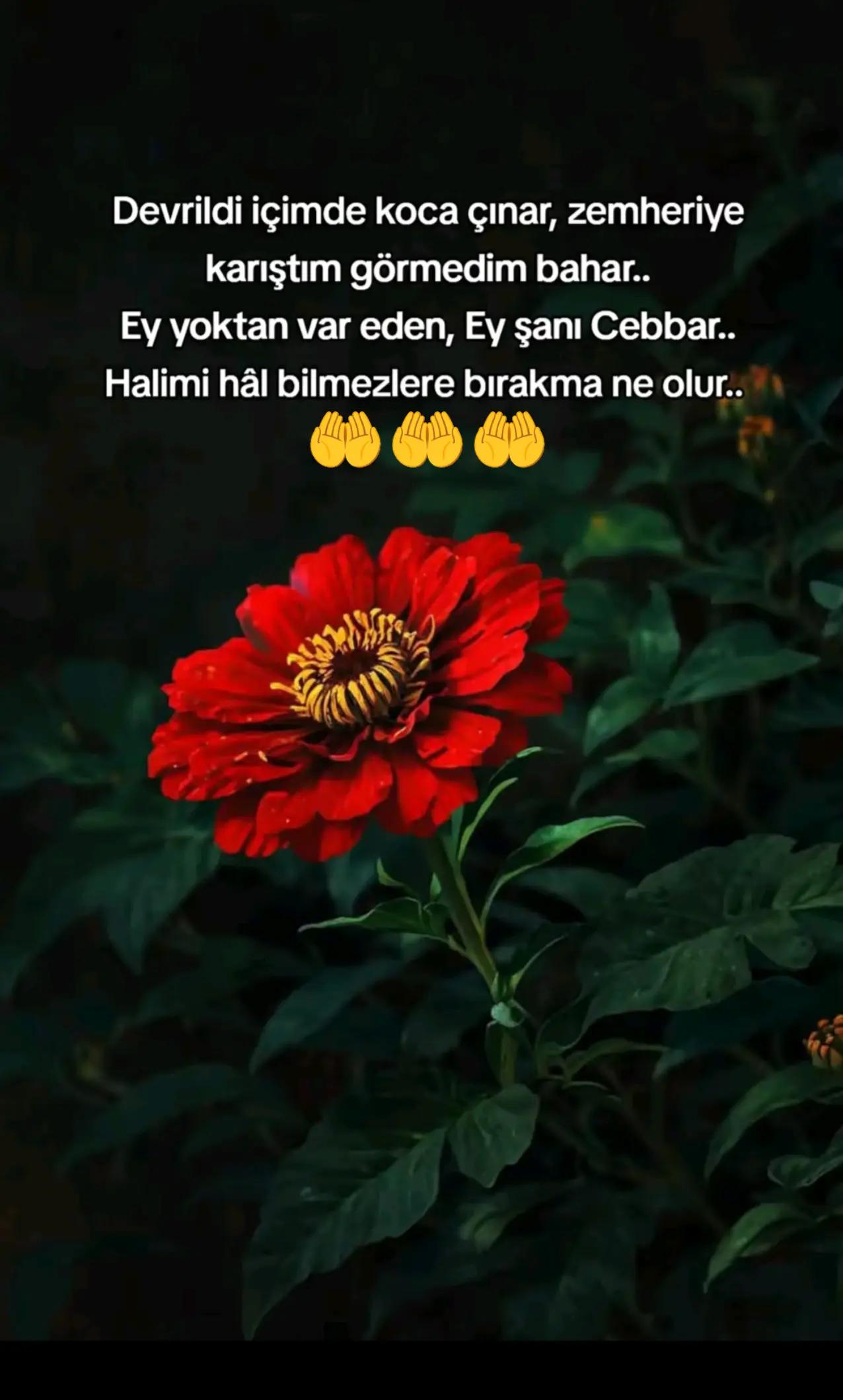 @Sessizlik